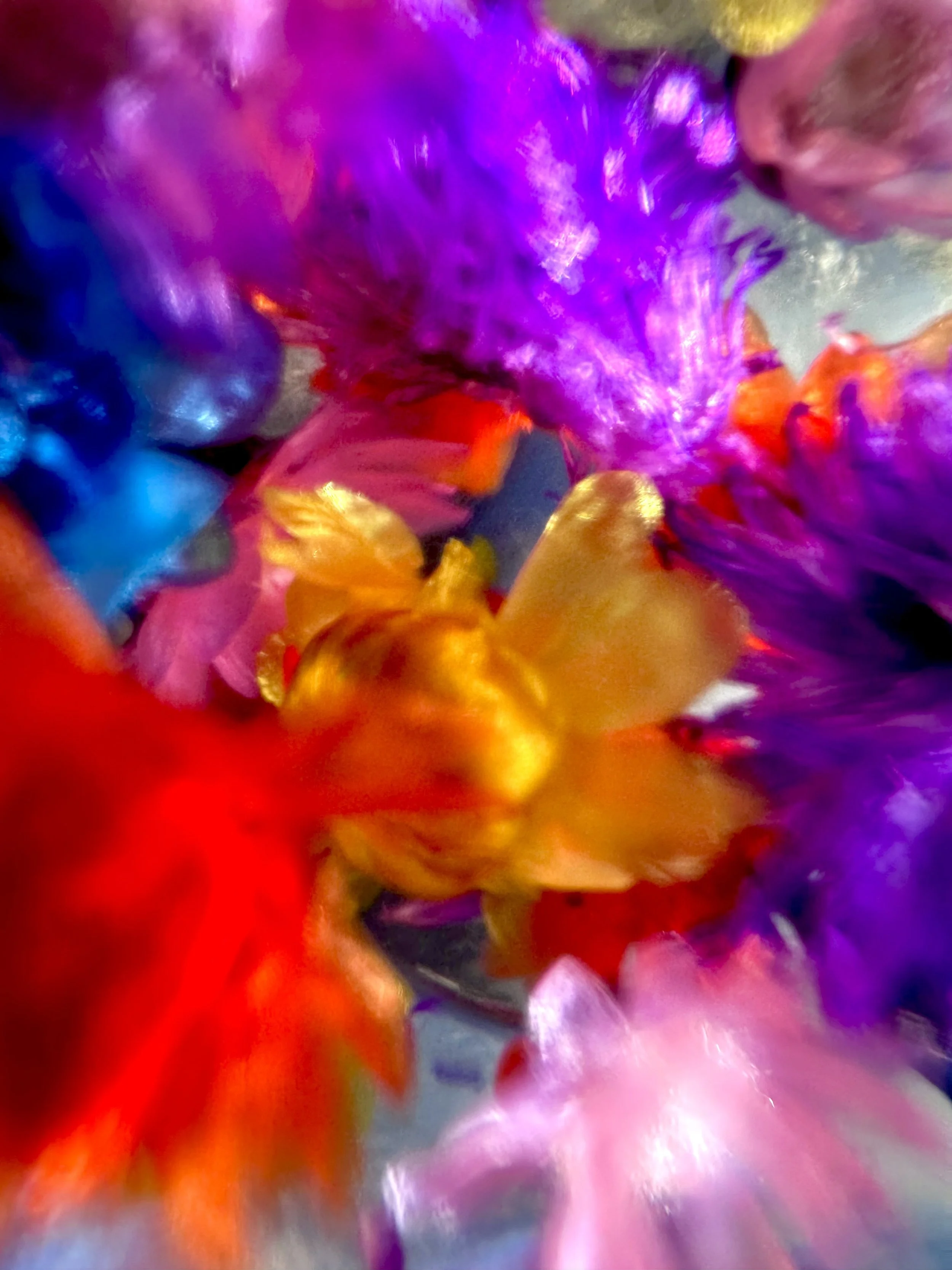 Threshold from Flowers of Wild Youth