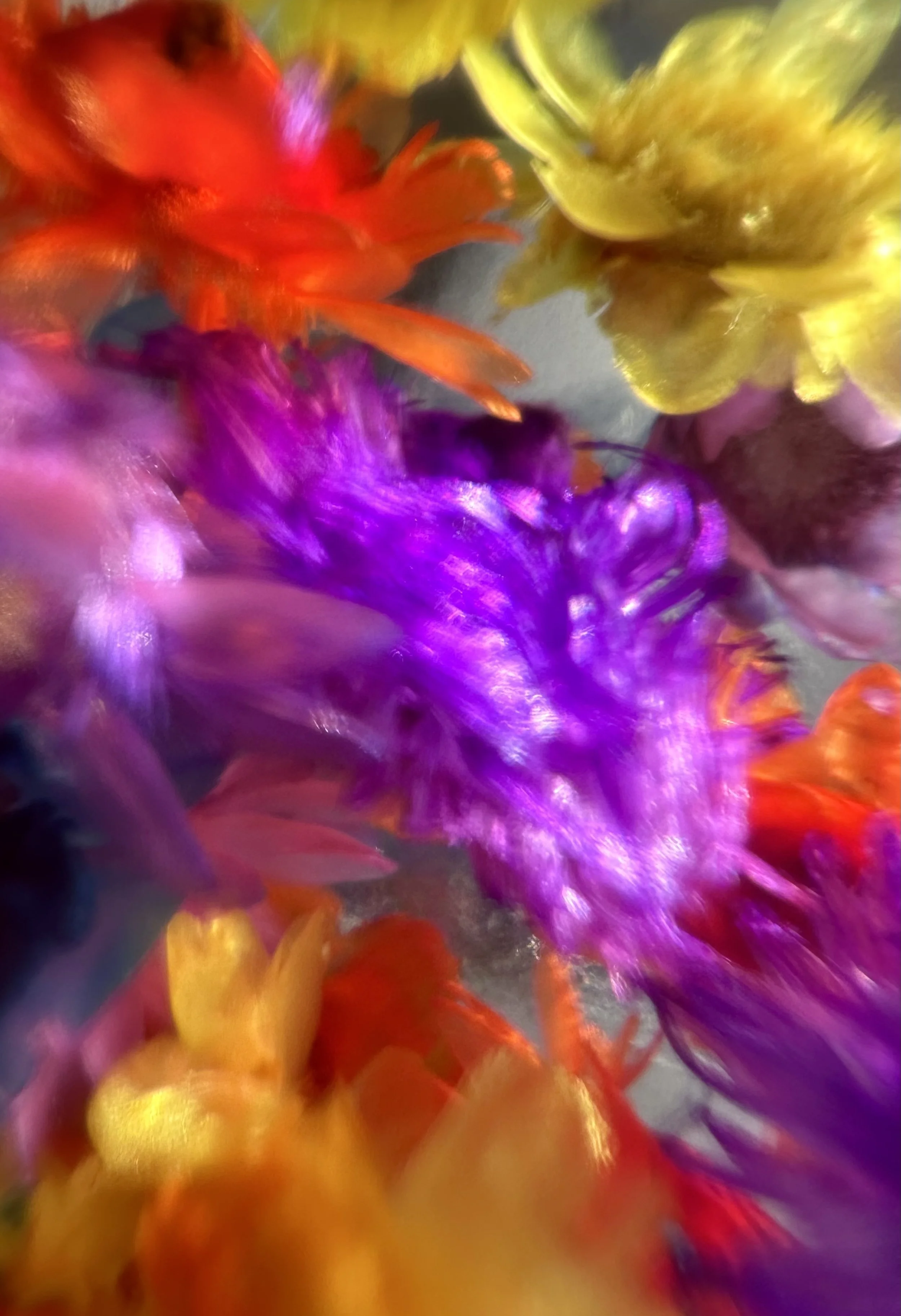 Lift from Flowers of Wild Youth