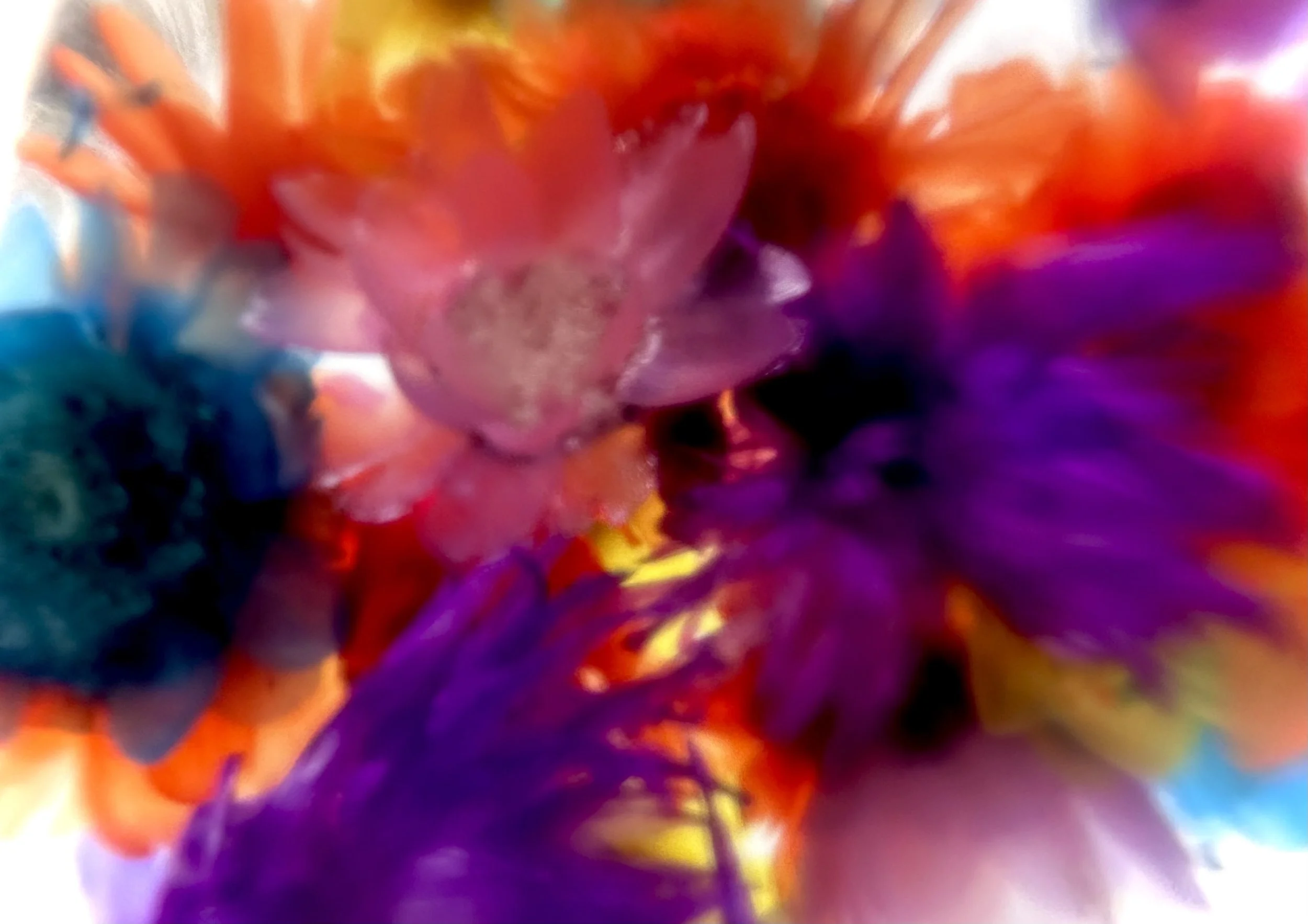 Buoyant from Flowers of Wild Youth