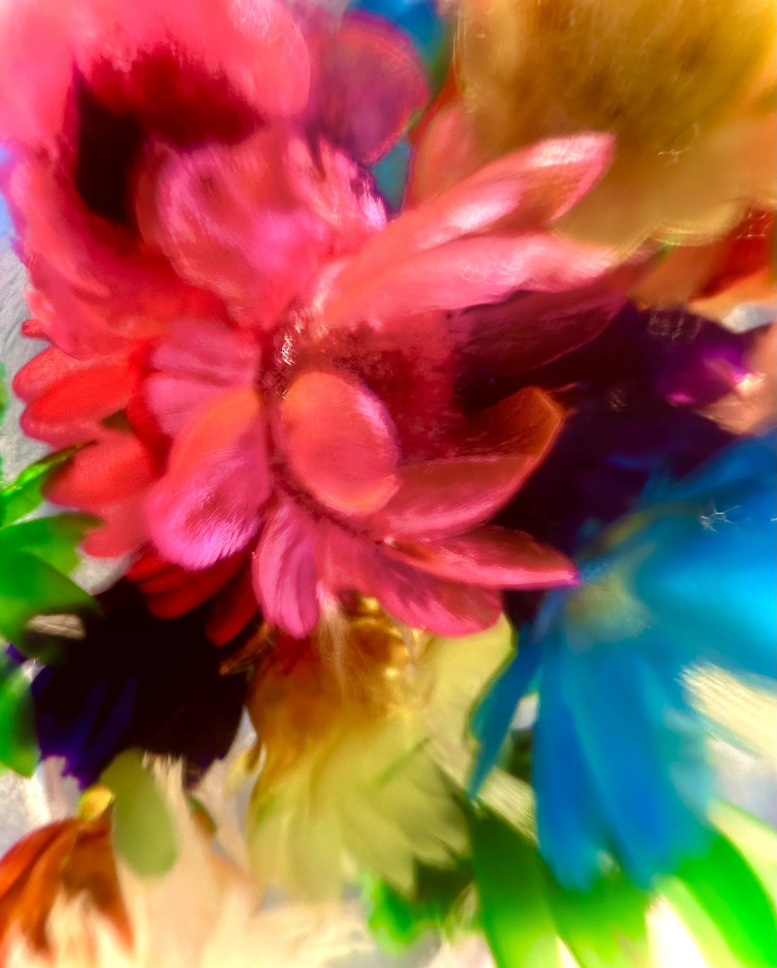 Emerge from Flowers of Wild Youth