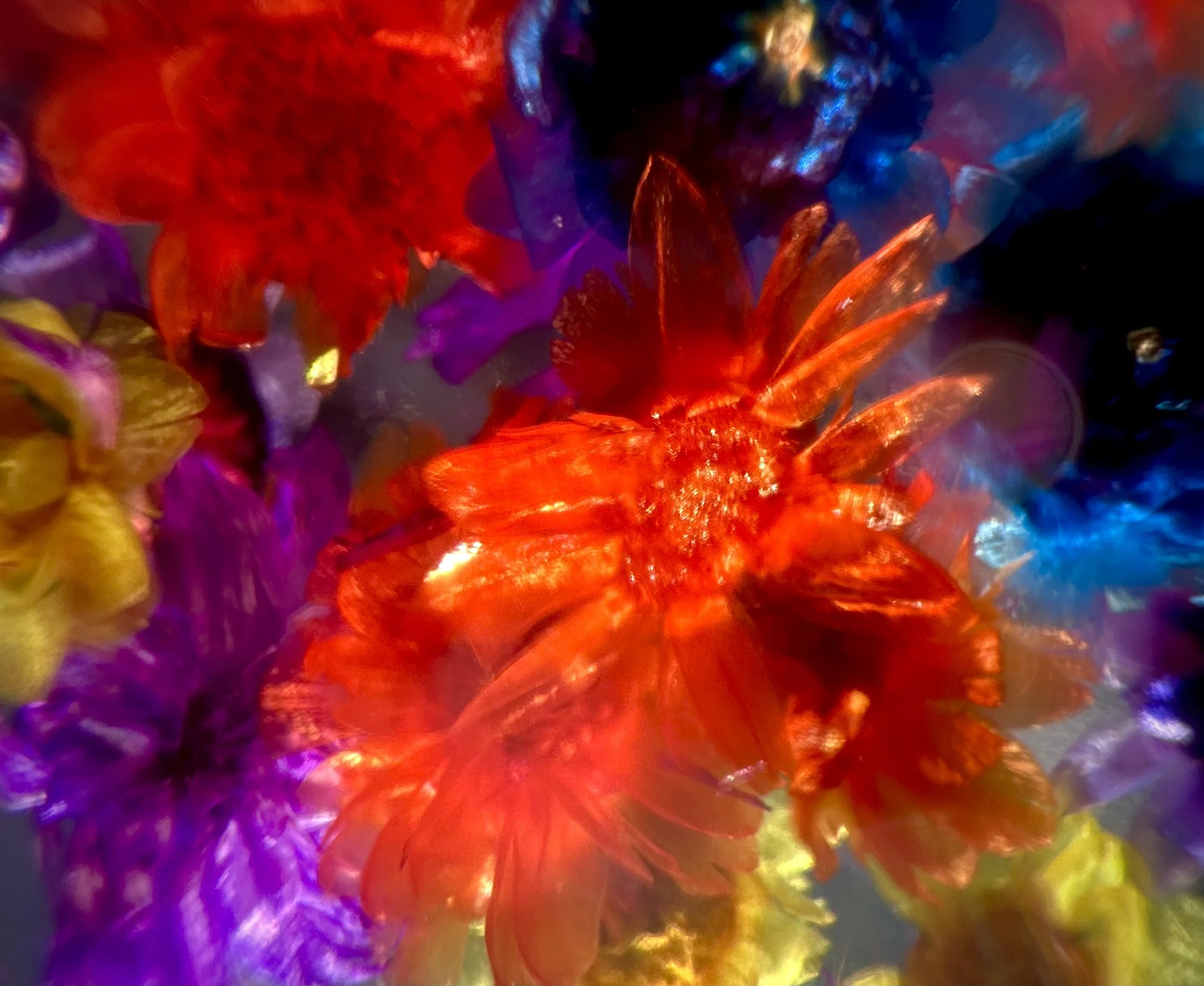 Glimmer from Flowers of Wild Youth