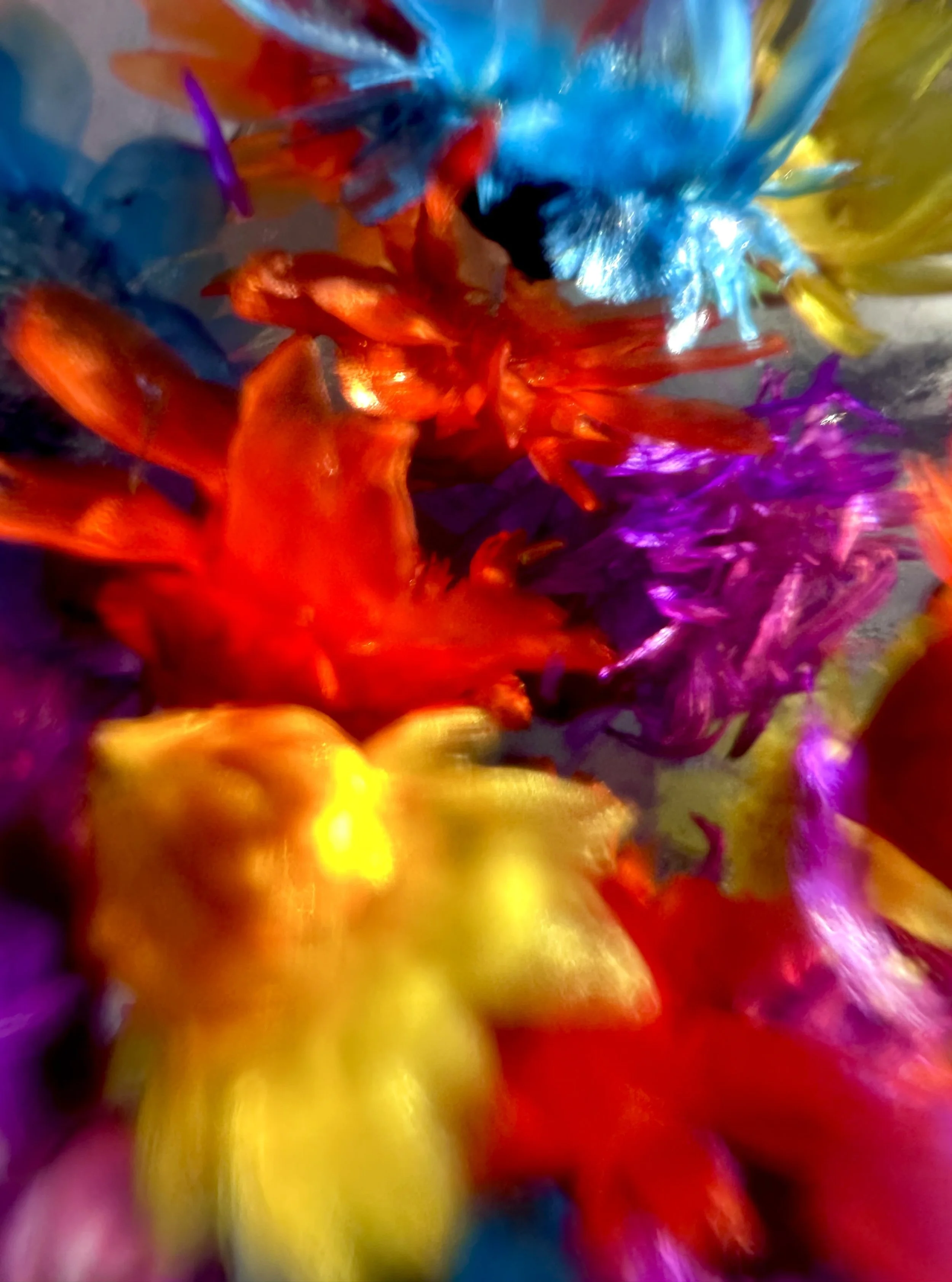 Unfurl from Flowers of Wild Youth