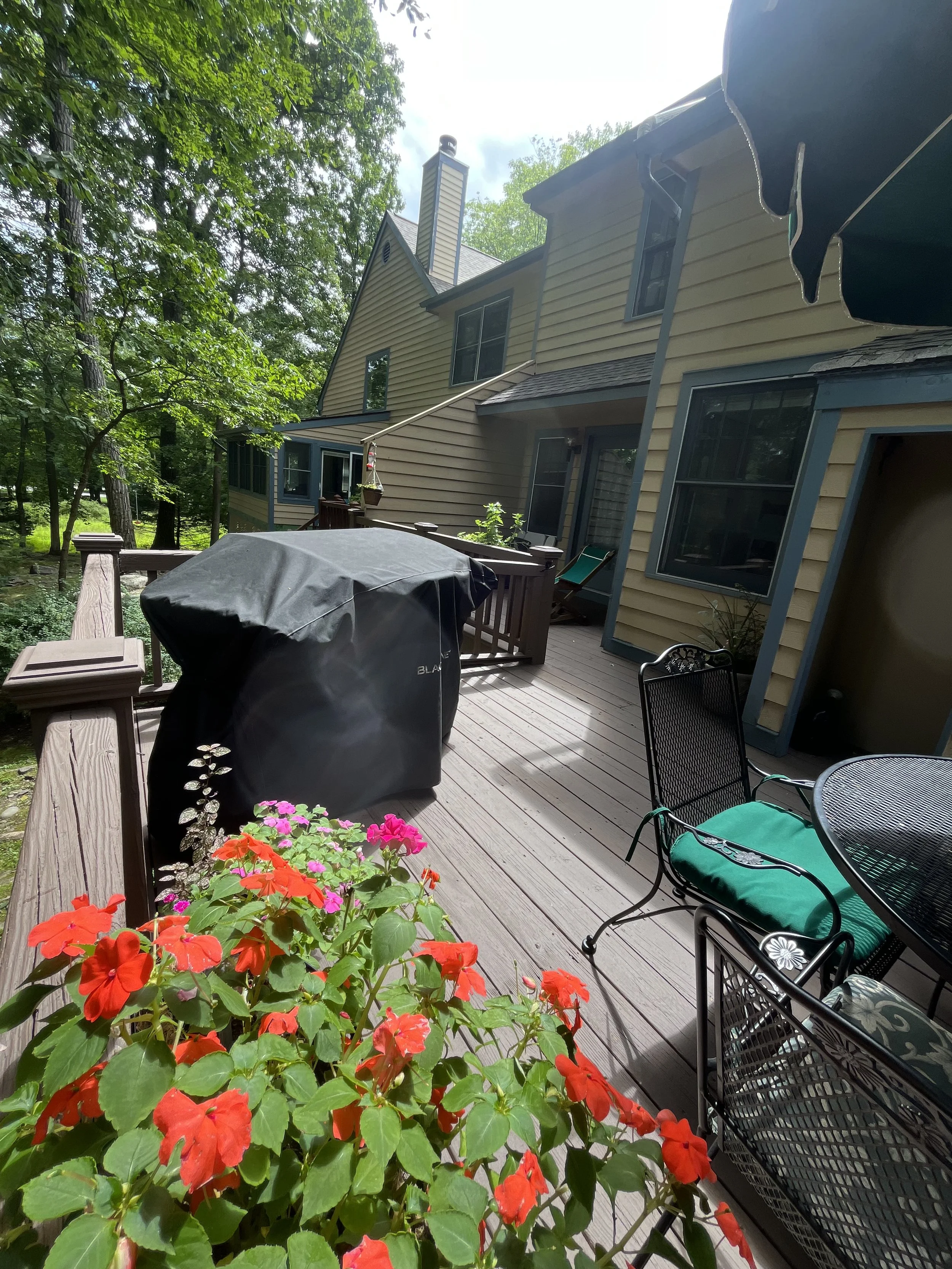Back deck