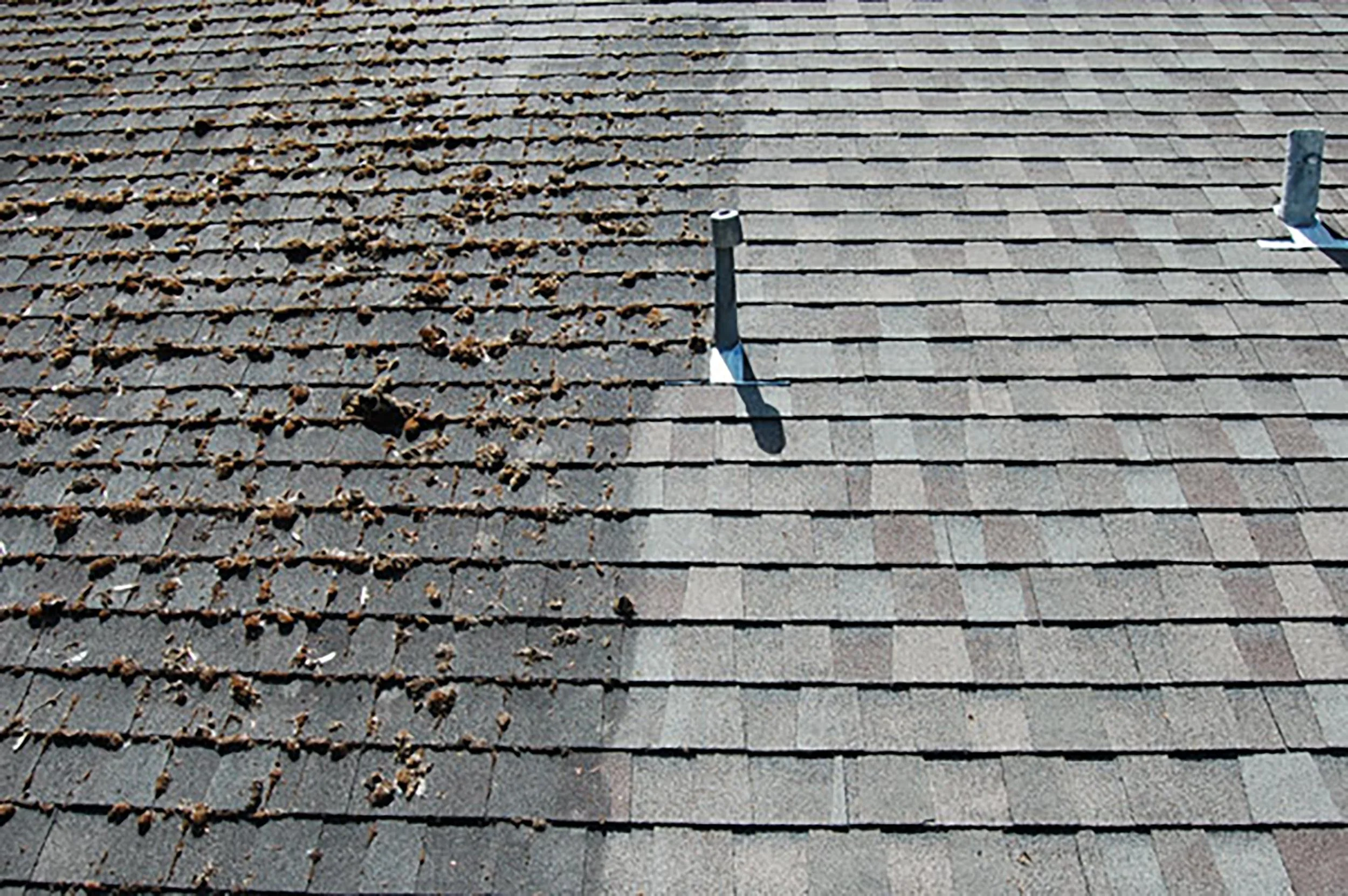 Comparison of a roof with leaves and debris on the left, and the same roof cleaned and cleared of debris on the right.