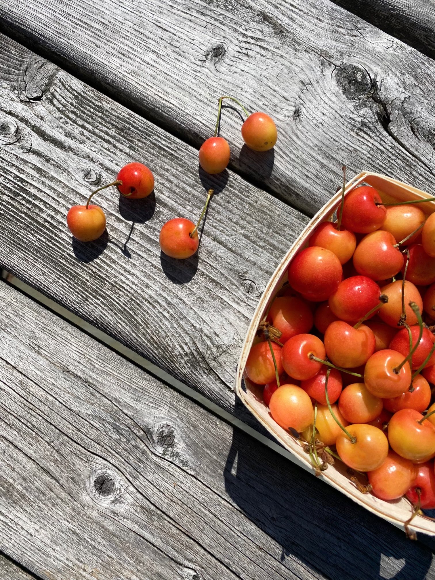 VTX_cherries.jpeg