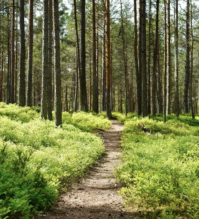 Wellness in the Nooks and Crannies