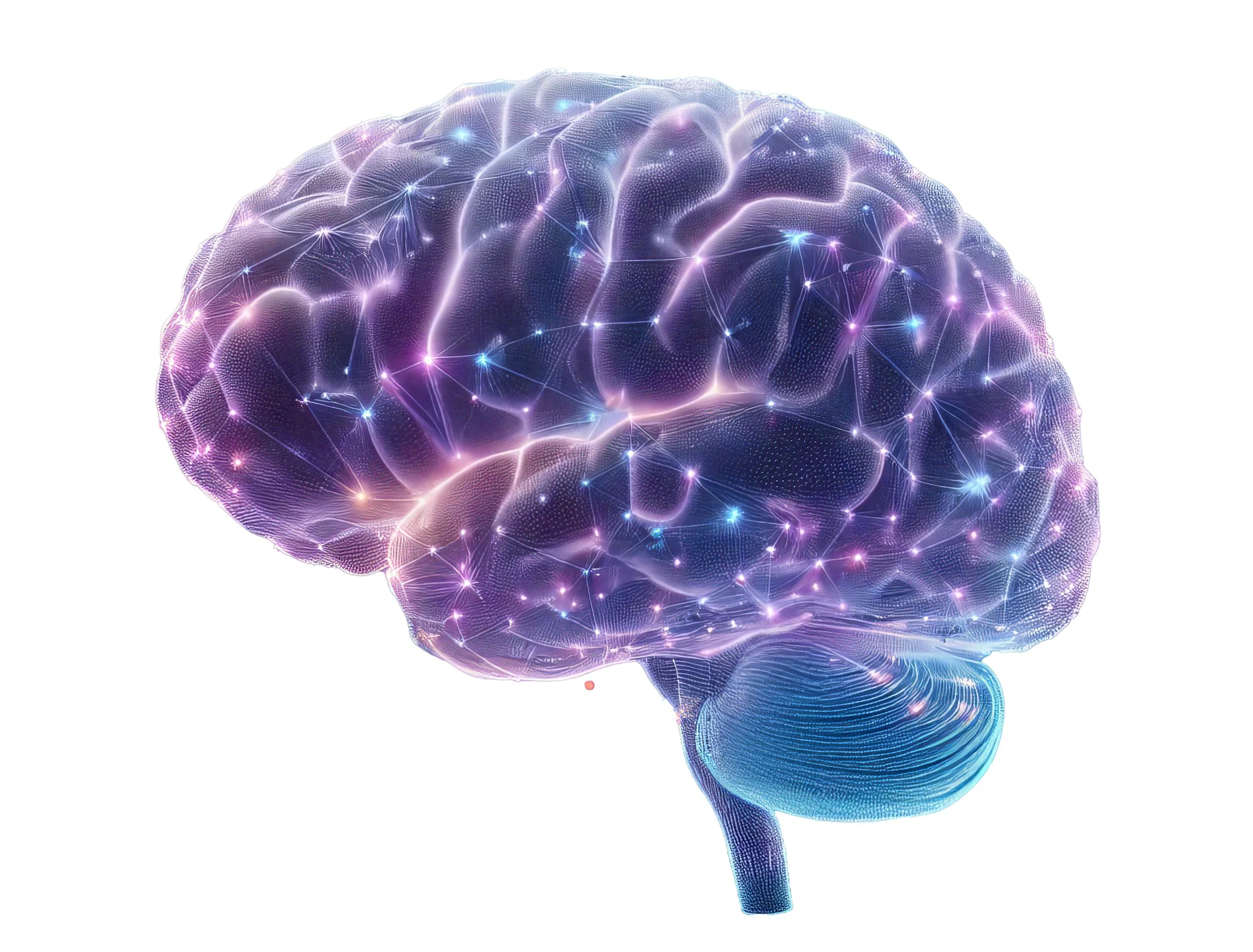 Is Your Brain Giving You Bad Data?