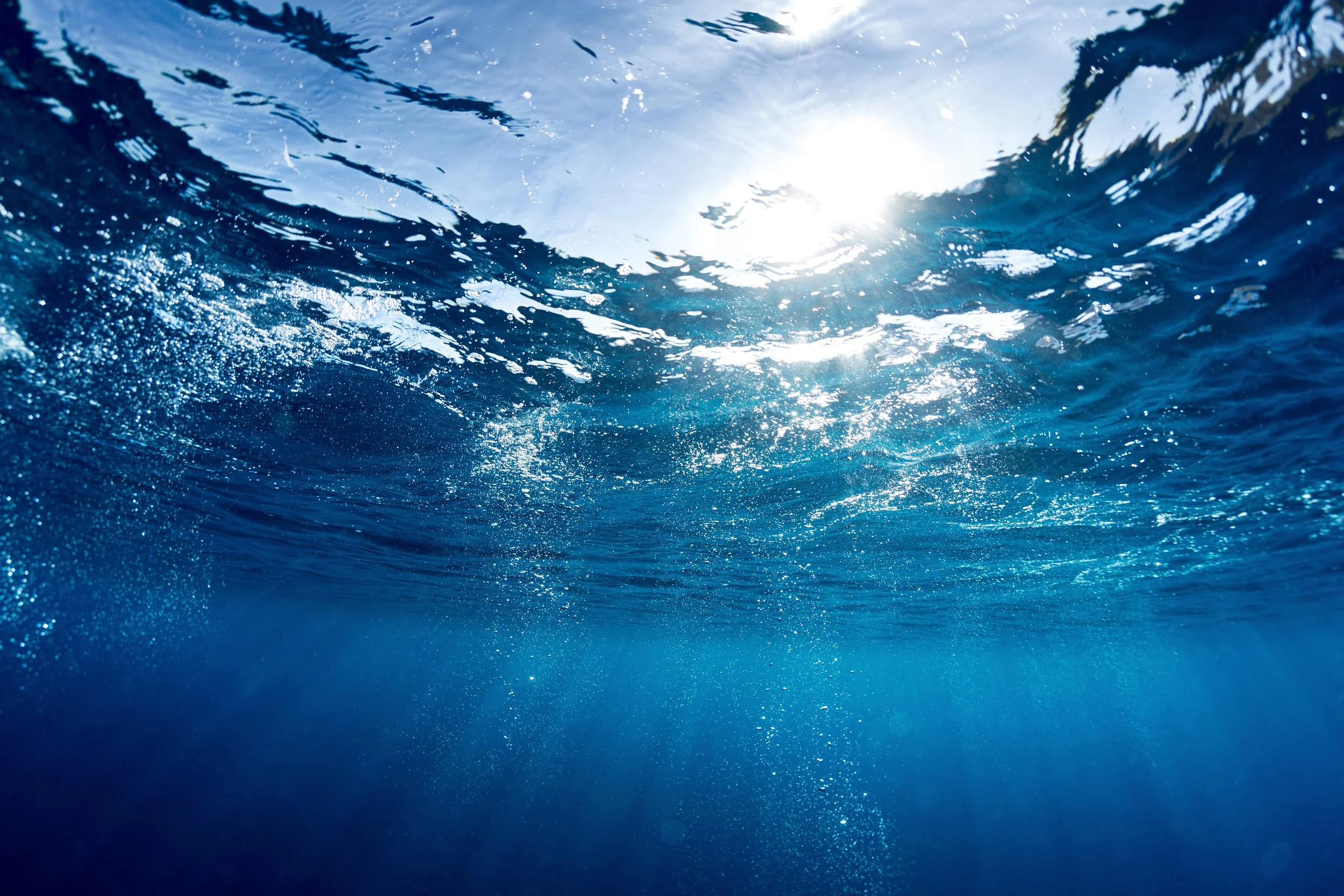 Snorkelers vs. Scuba Divers
