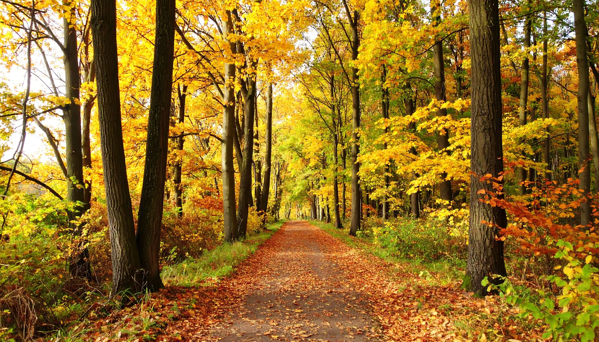 What Are You Ready to Reset This Fall?