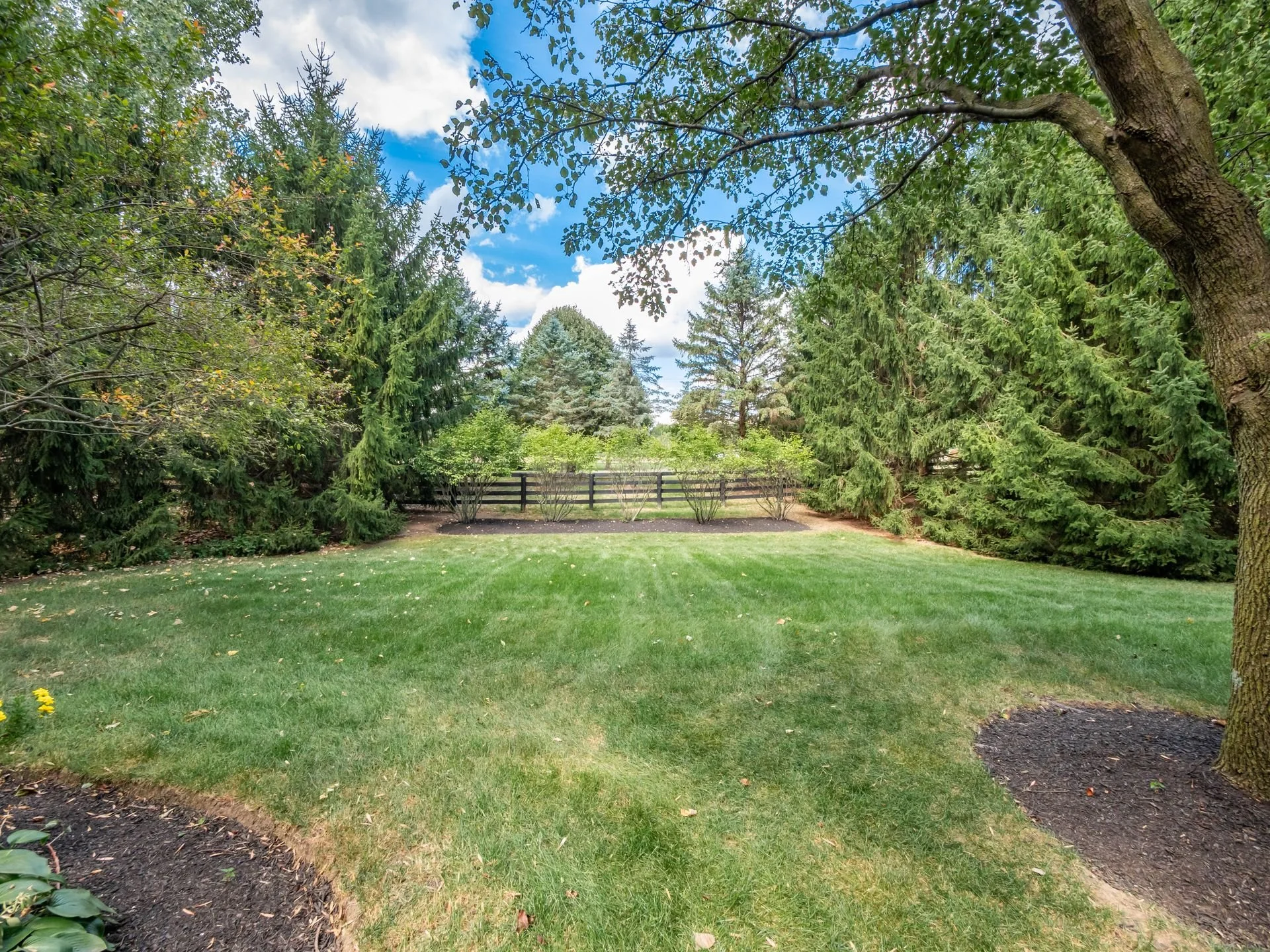 005_177_A 6664 Wisteria 011-2.jpg