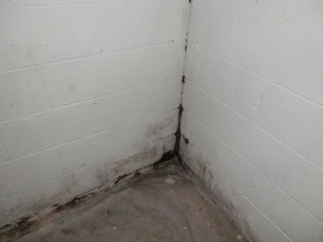 The corner of a basement, showing a mold-like substance.