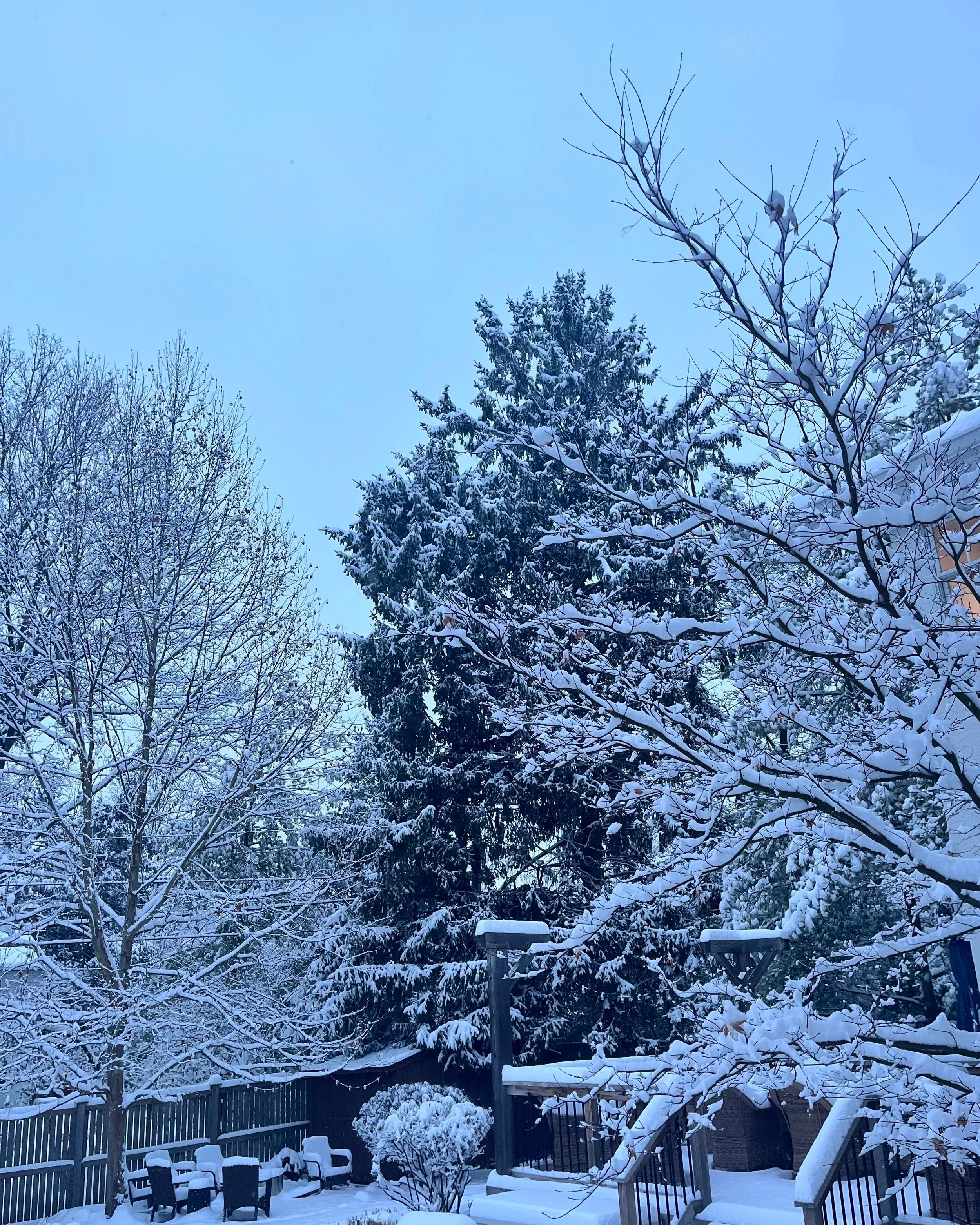 Snow-covered backyard in Upper Arlington, Ohio during winter