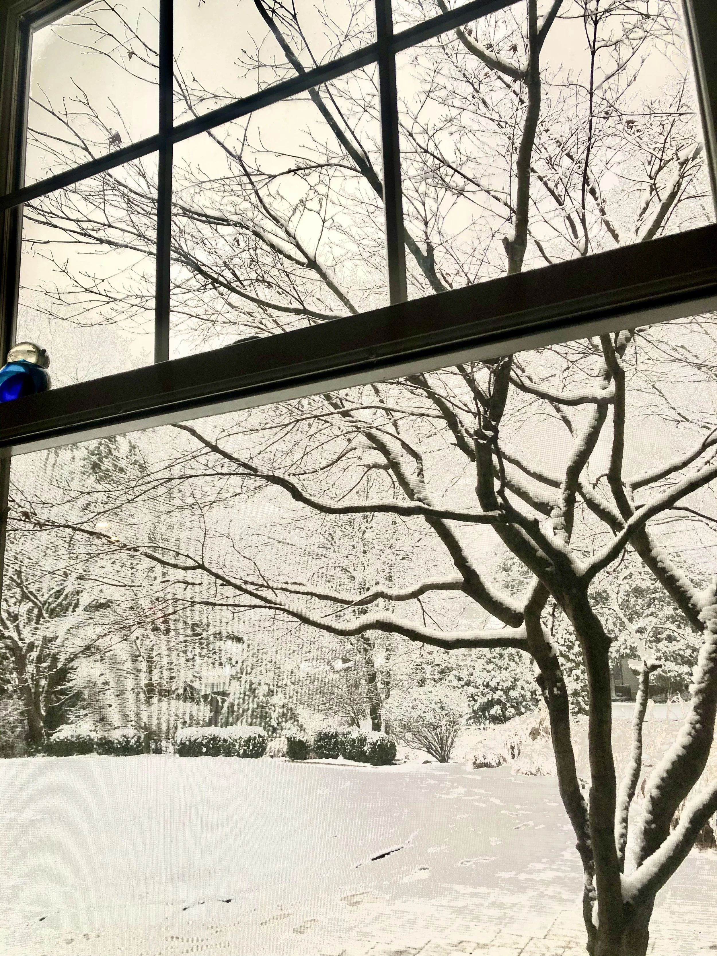 Snowy Upper Arlington backyard viewed through a window from inside the home