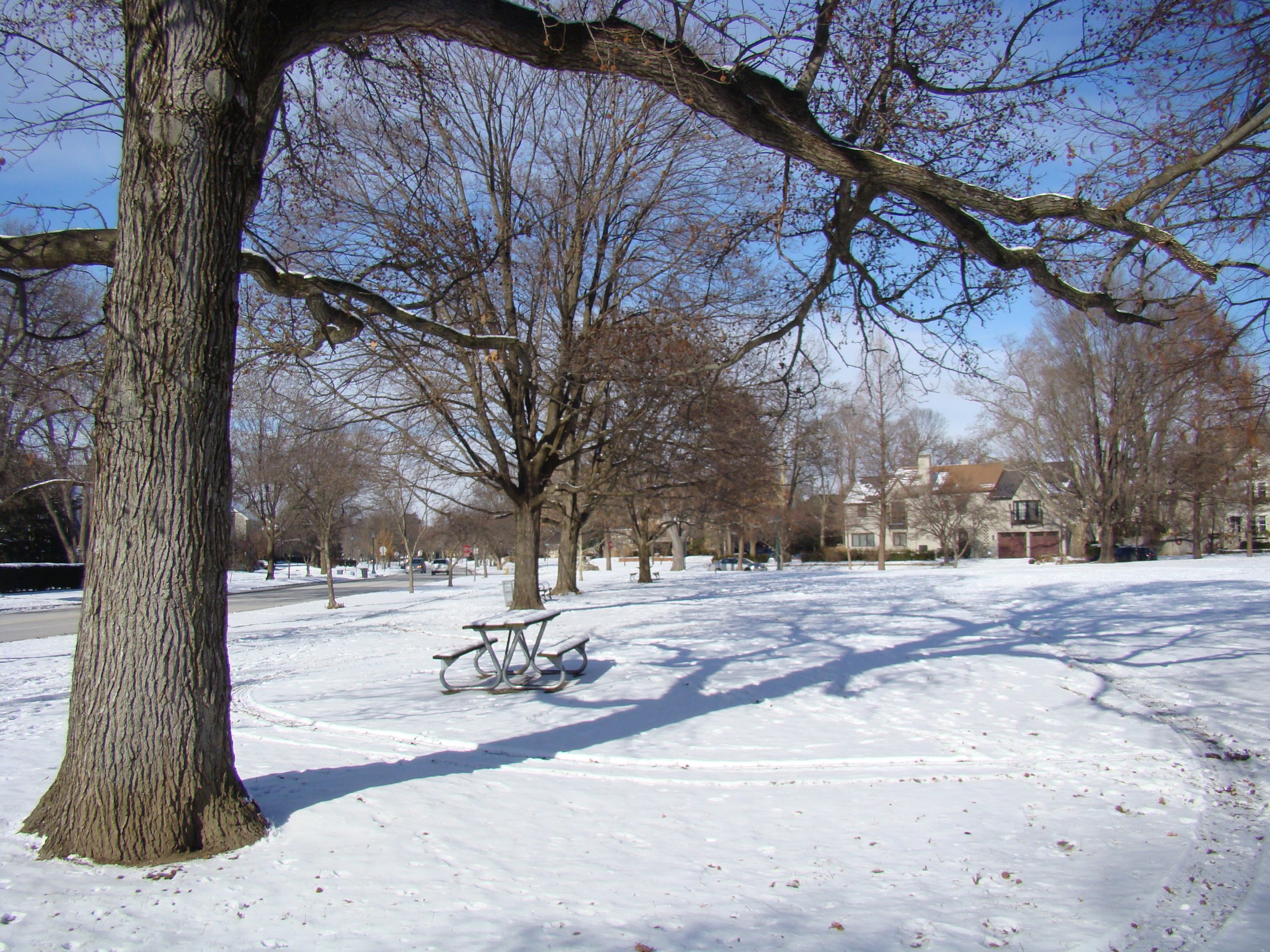 A light dusting of snow covers UA's Triangle Park, situated near some of the most coveted homes in Central Ohio.