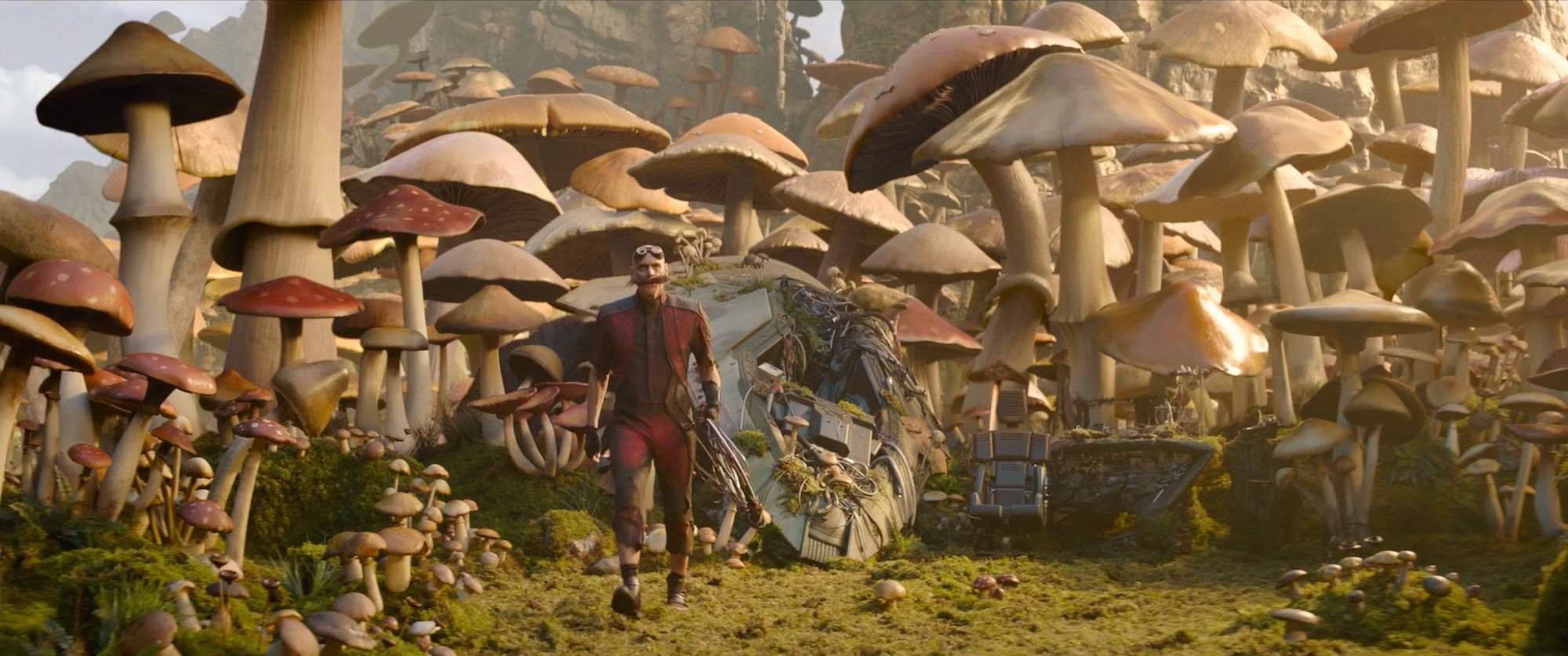 Mushroom Planet Daytime