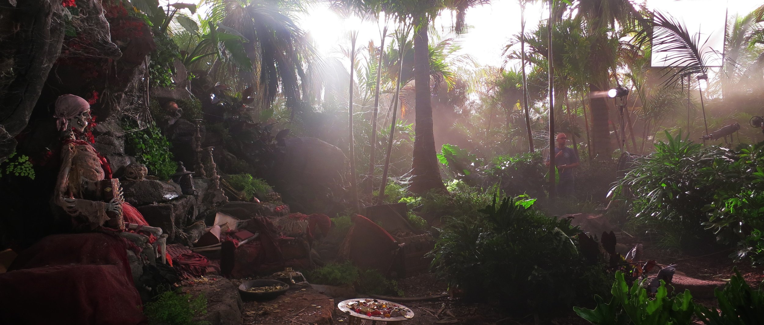 Jungle
