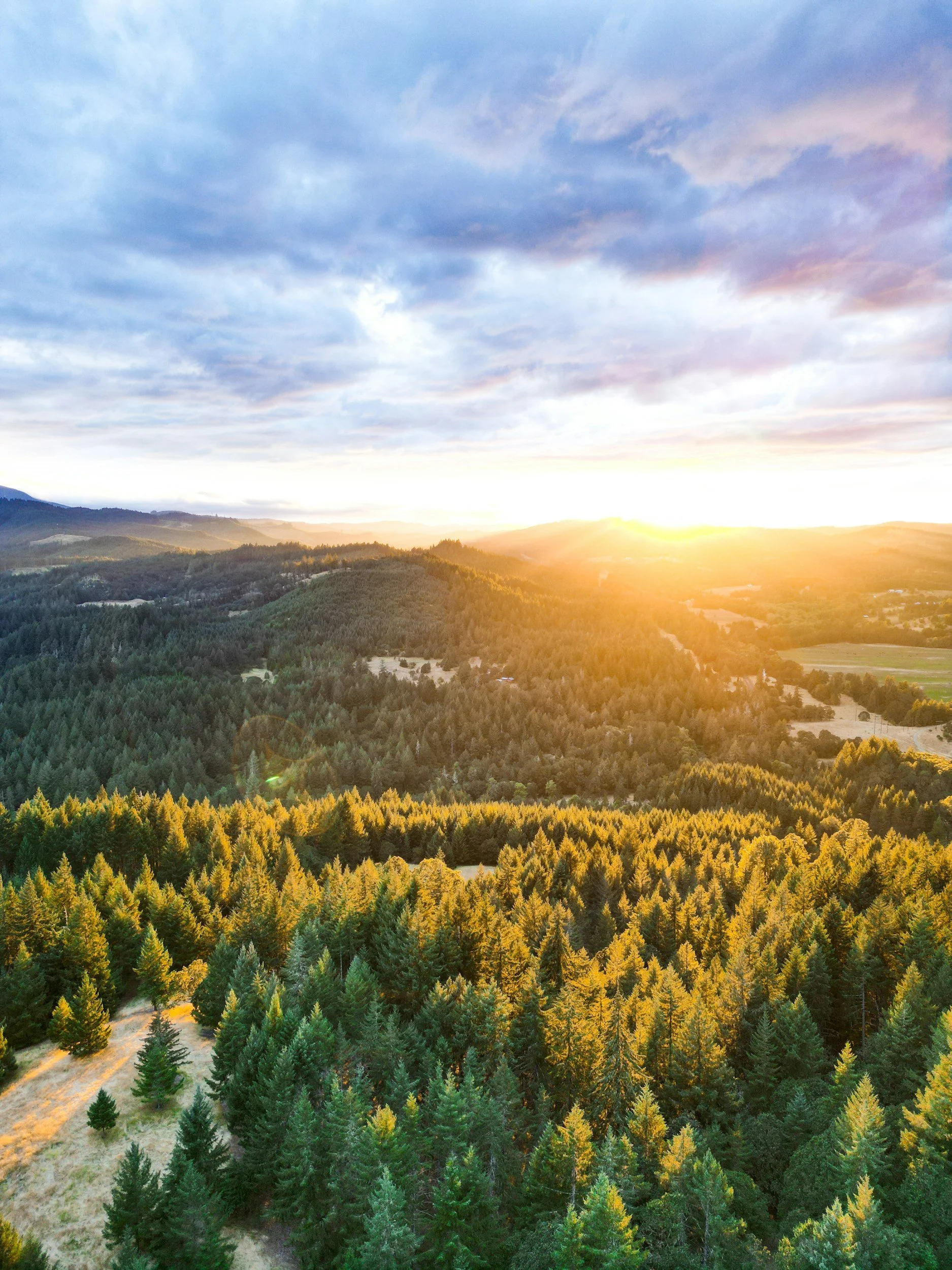 Sunset over a forested landscape with rolling hills and mountains in the distance.