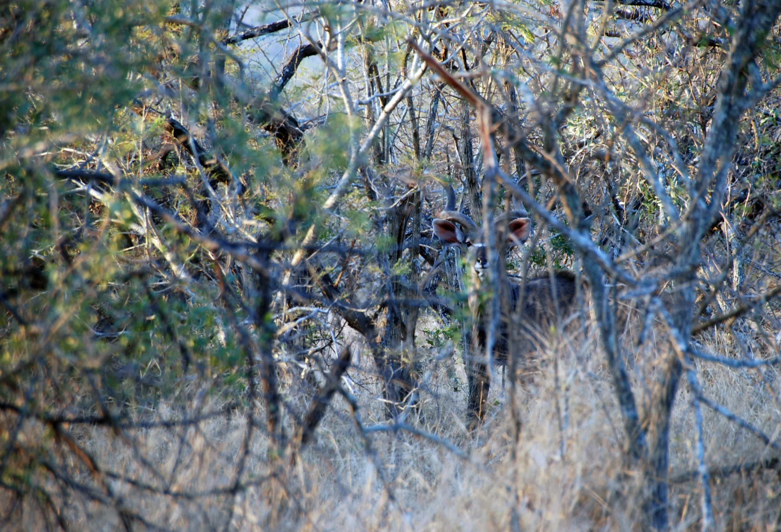 eB-12.jpg