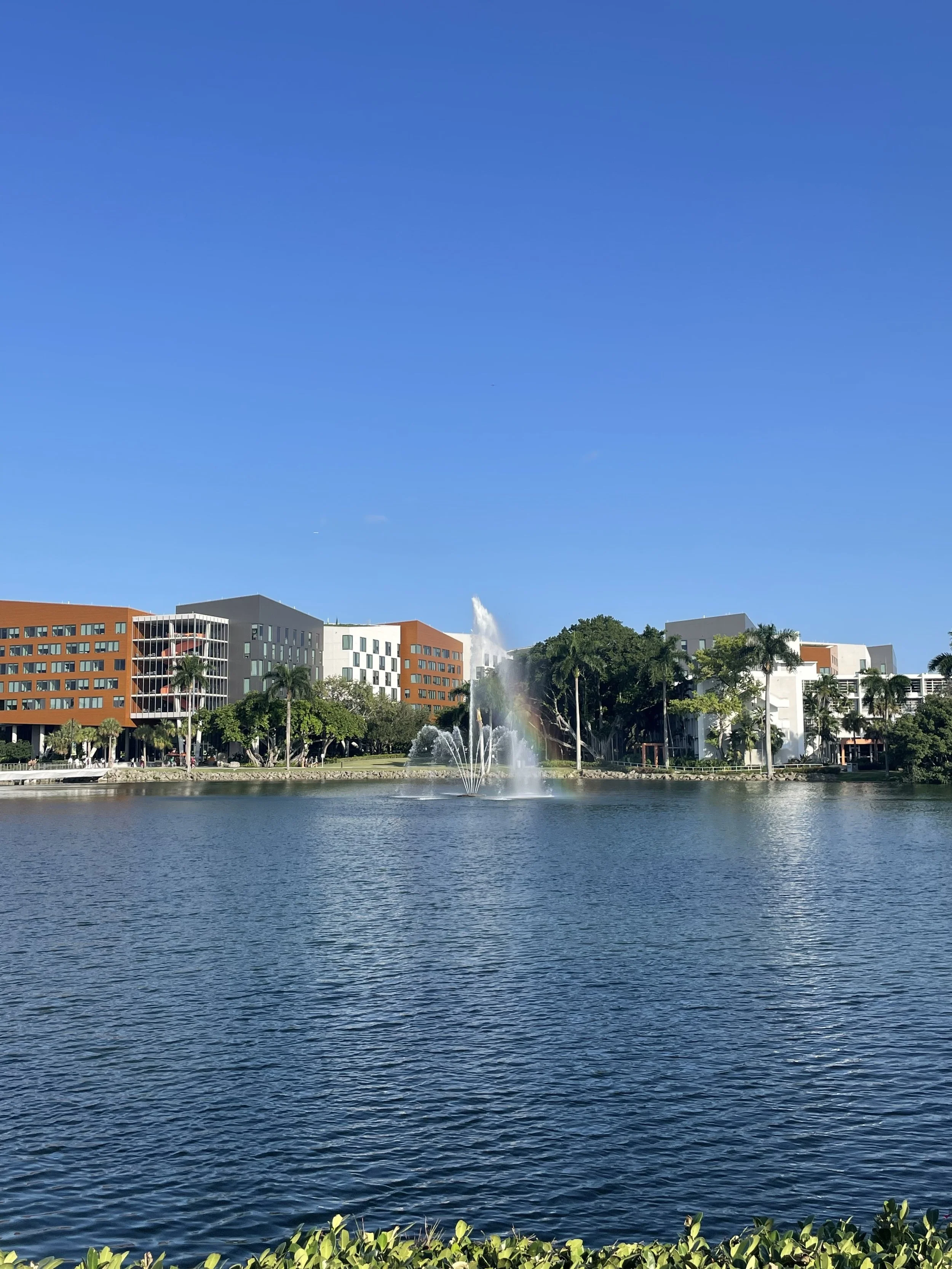 View of Lakeside Village, our Sophomore Dorms