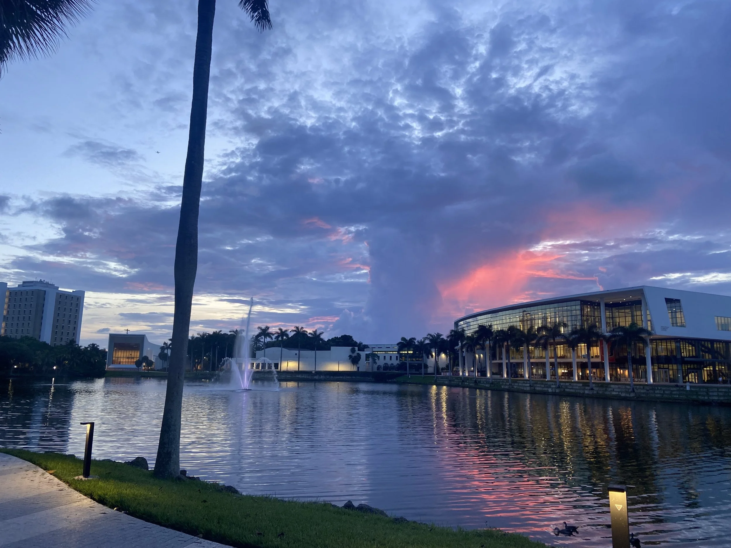 Shalala with a Sunset