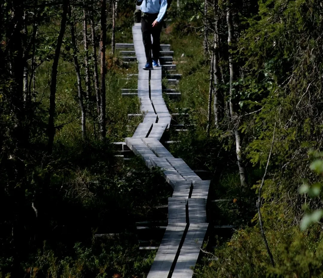 As We Keep Walking