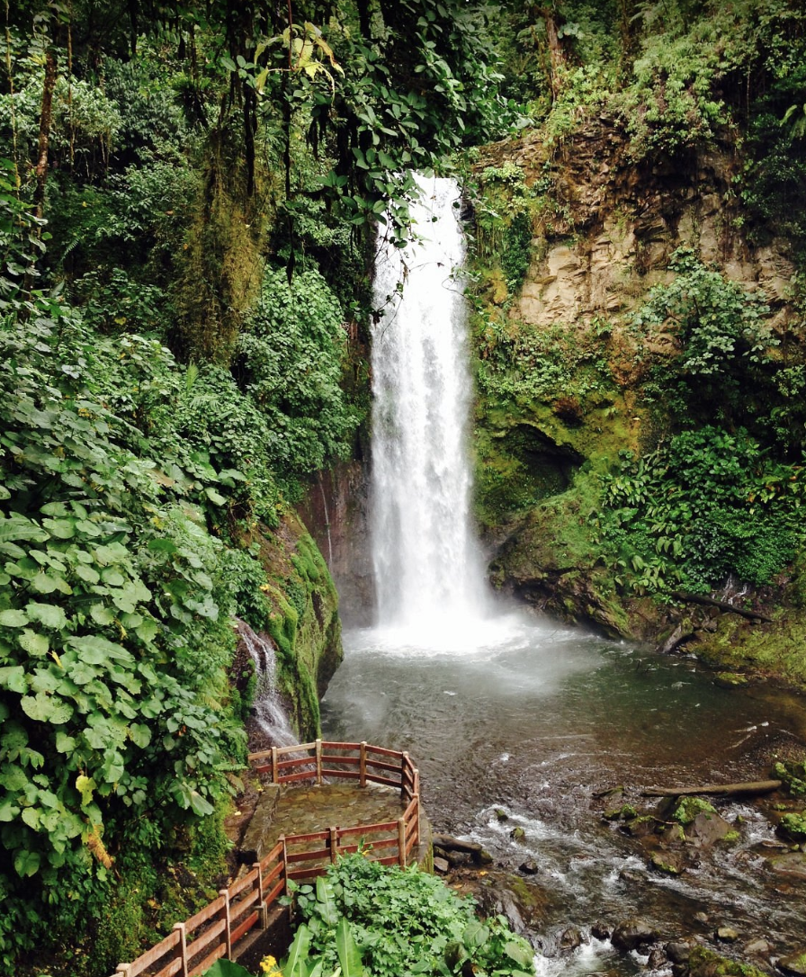 Waterfall surrounded by the green foliage and a walkway that ends in a lookout in the bottom left corner