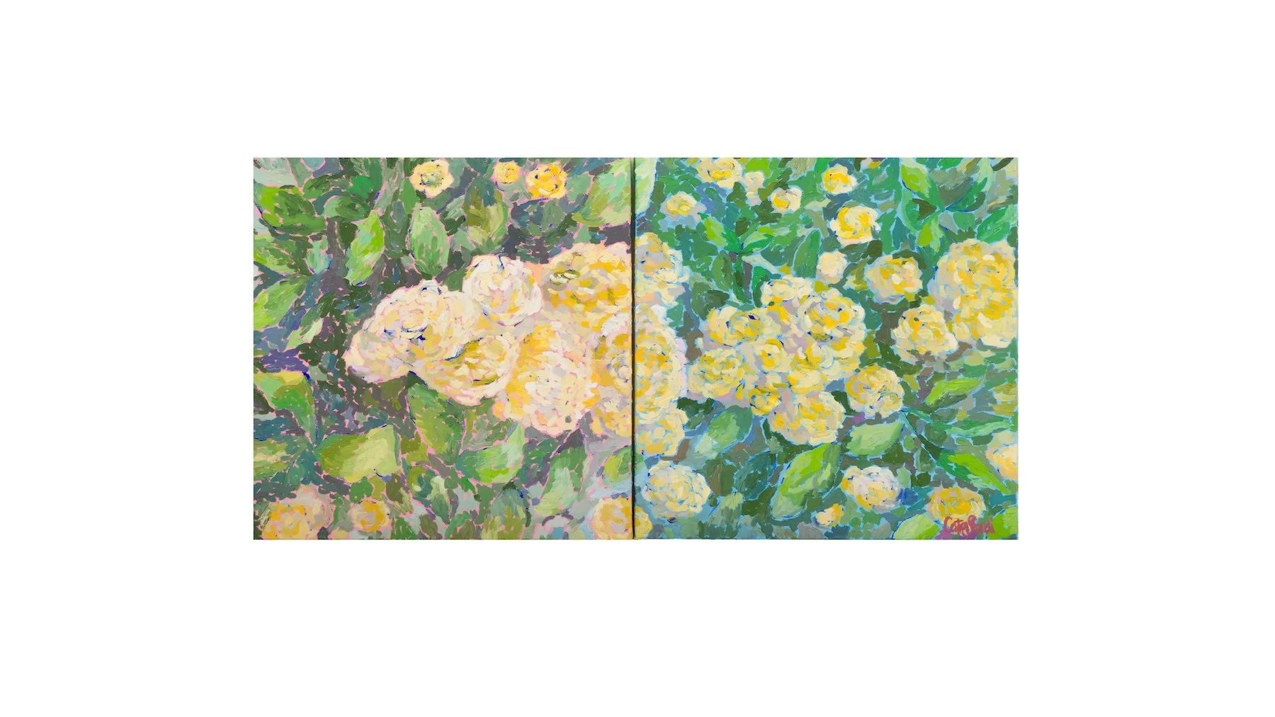 Oil painting of a blooming Lady Banks' rose against pale rose and light blue backgrounds, symbolizing authenticity, vulnerability, and the strength found in gentleness.
