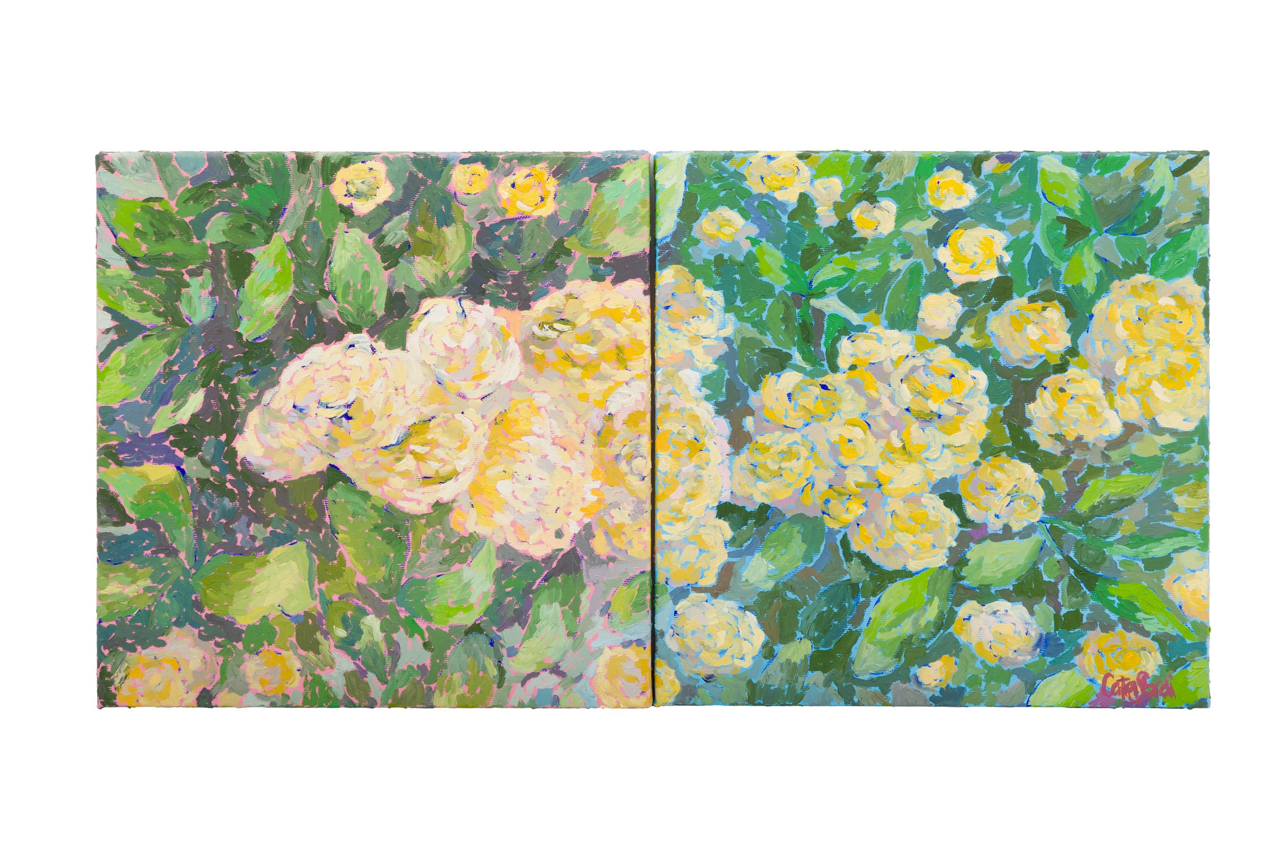 Original oil painting inspired by the Lady Banks' rose. A reflection on authenticity, vulnerability, and the quiet strength found in gentleness.