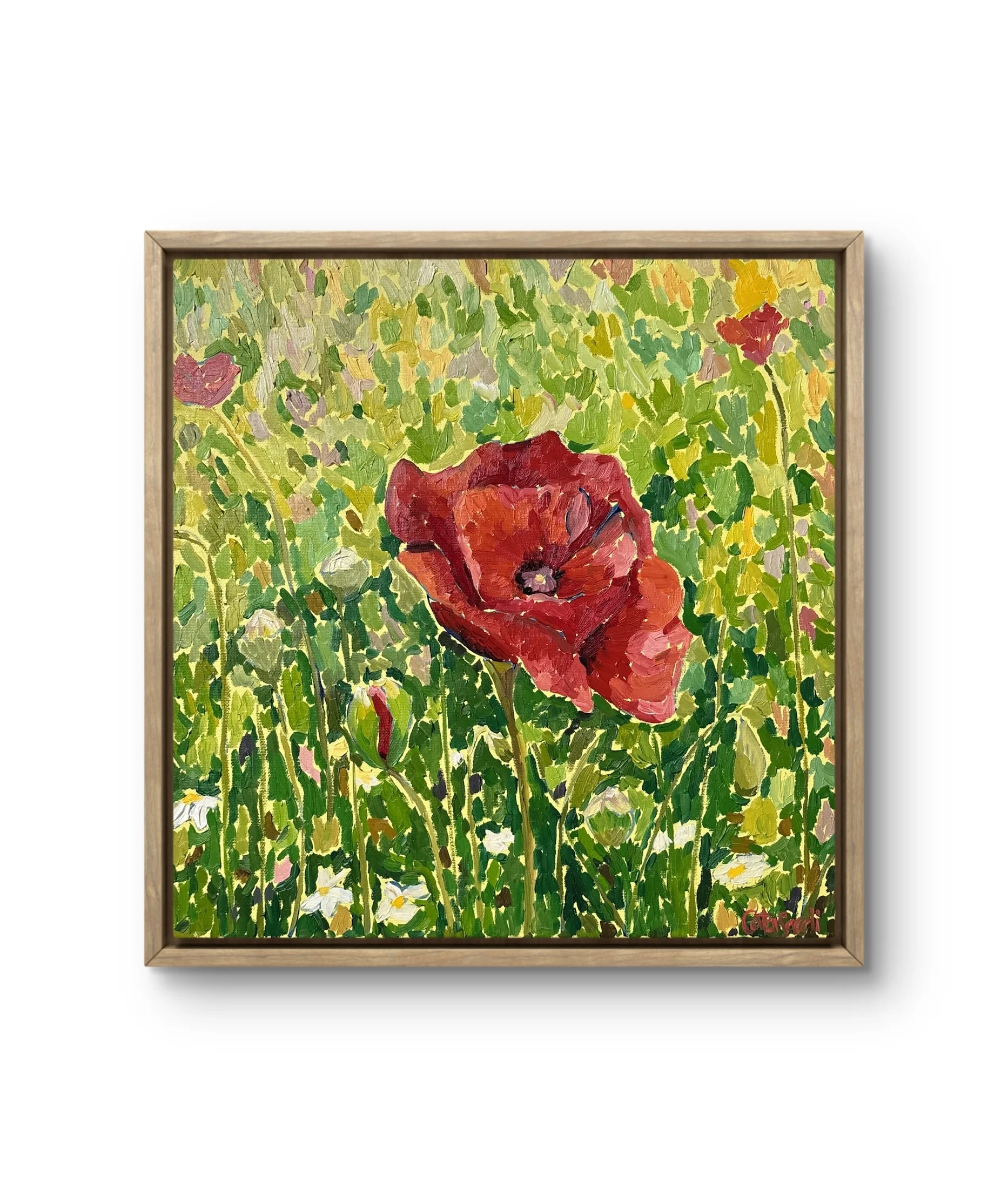 Symbolic oil painting of a poppy flower expressing gentle optimism, inner clarity, and enduring hope. Set in a light yellow field of warmth and confidence.