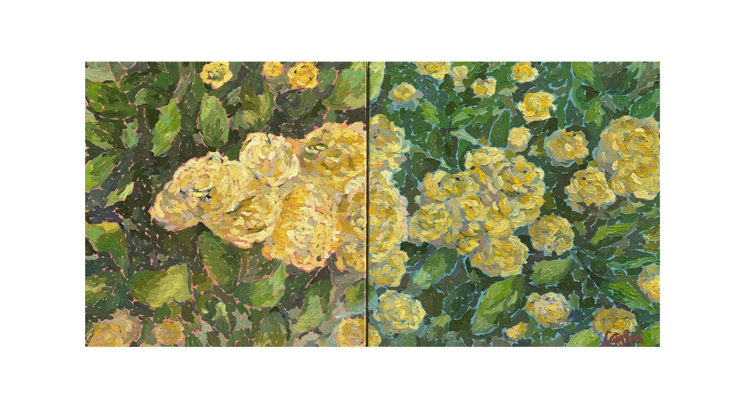 Oil painting of a blooming Lady Banks' rose against pale rose and light blue backgrounds, symbolizing authenticity, vulnerability, and the strength found in gentleness.
Delicate yellow Lady Banks' roses surrounded by soft pink and blue tones, represe