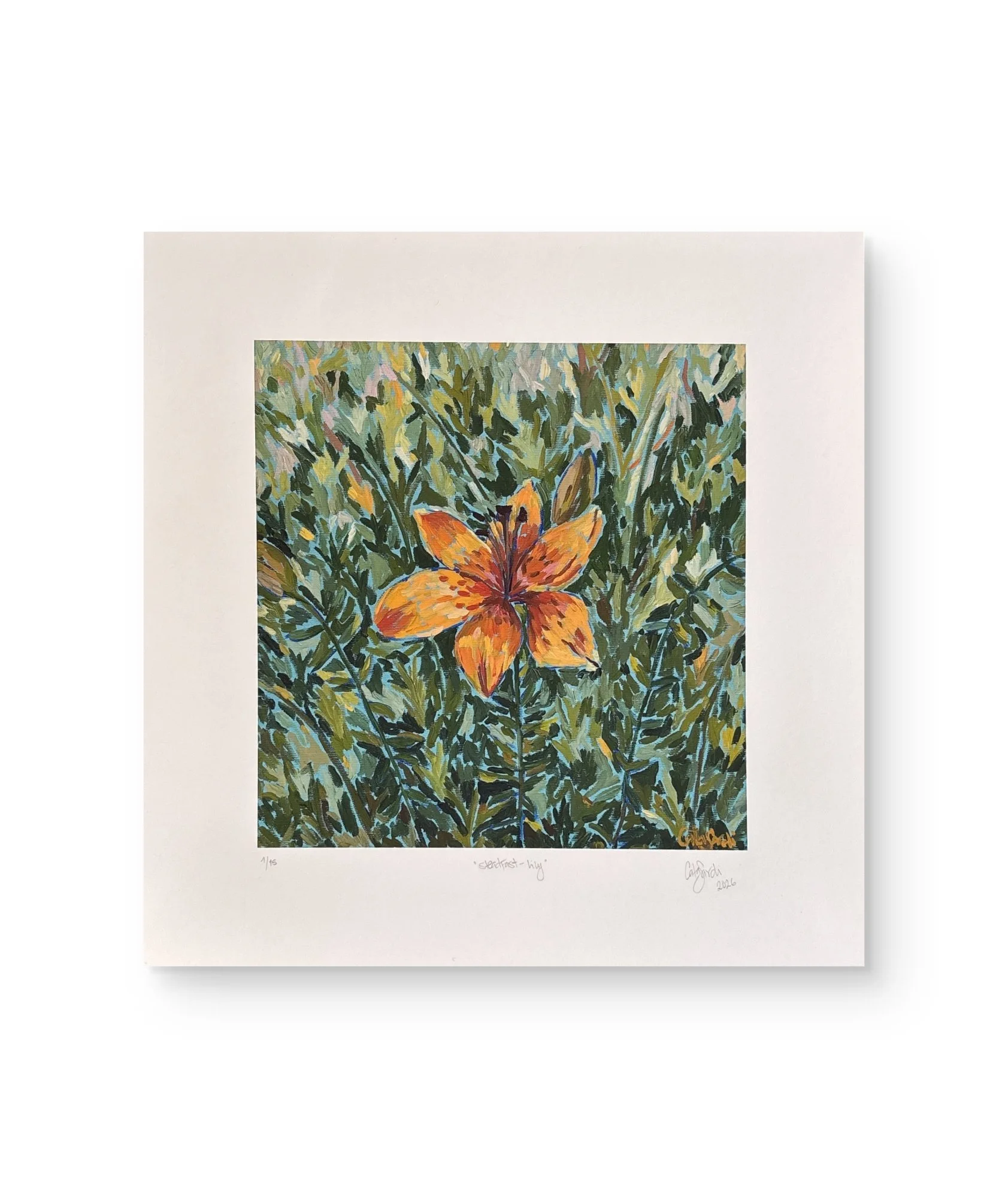 Steadfast III - Lily