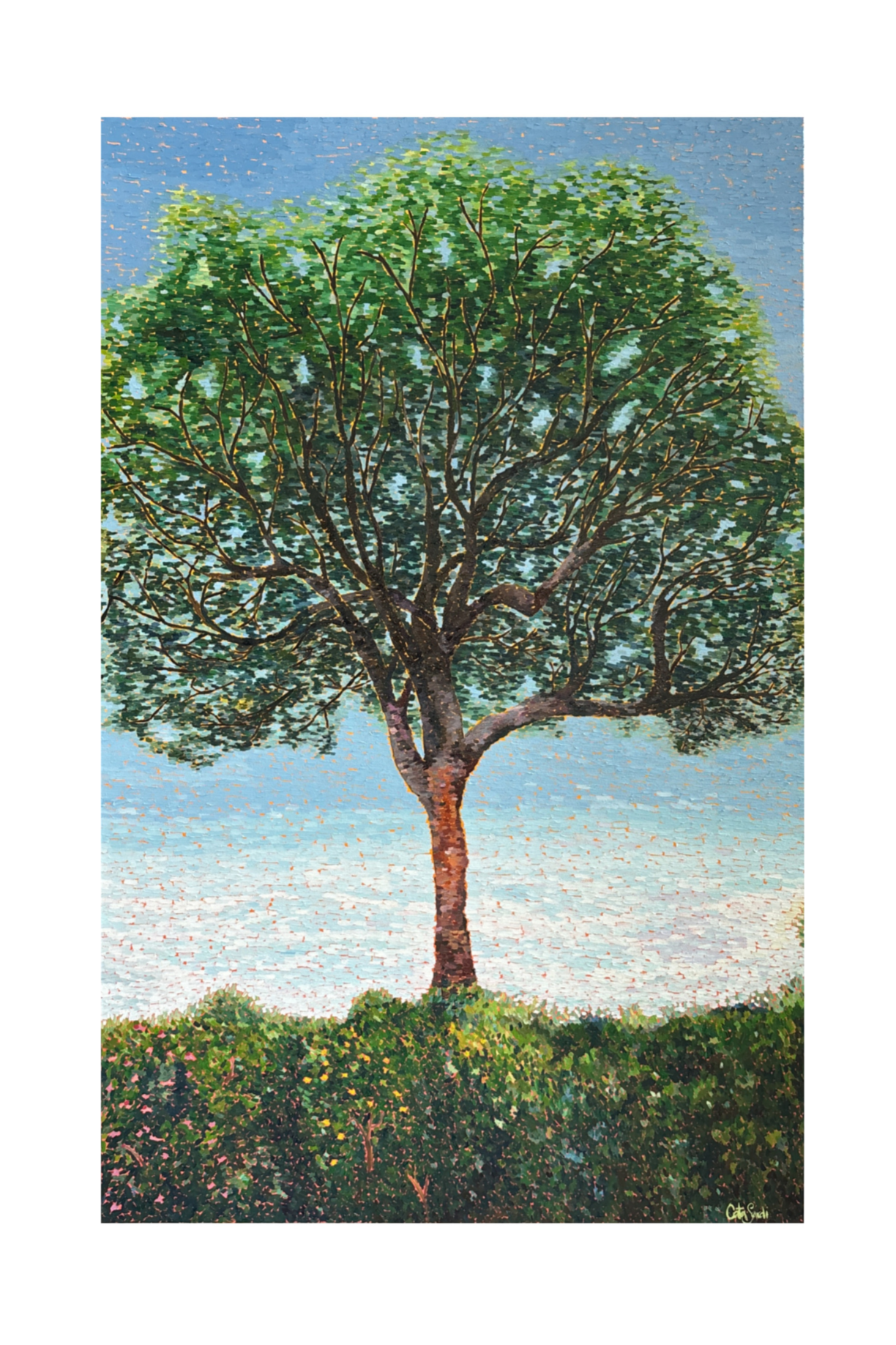 Discover an original oil painting by Catalina Sardi exploring growth, self-trust, and inner expansion through a symbolic tree and vibrant orange background.