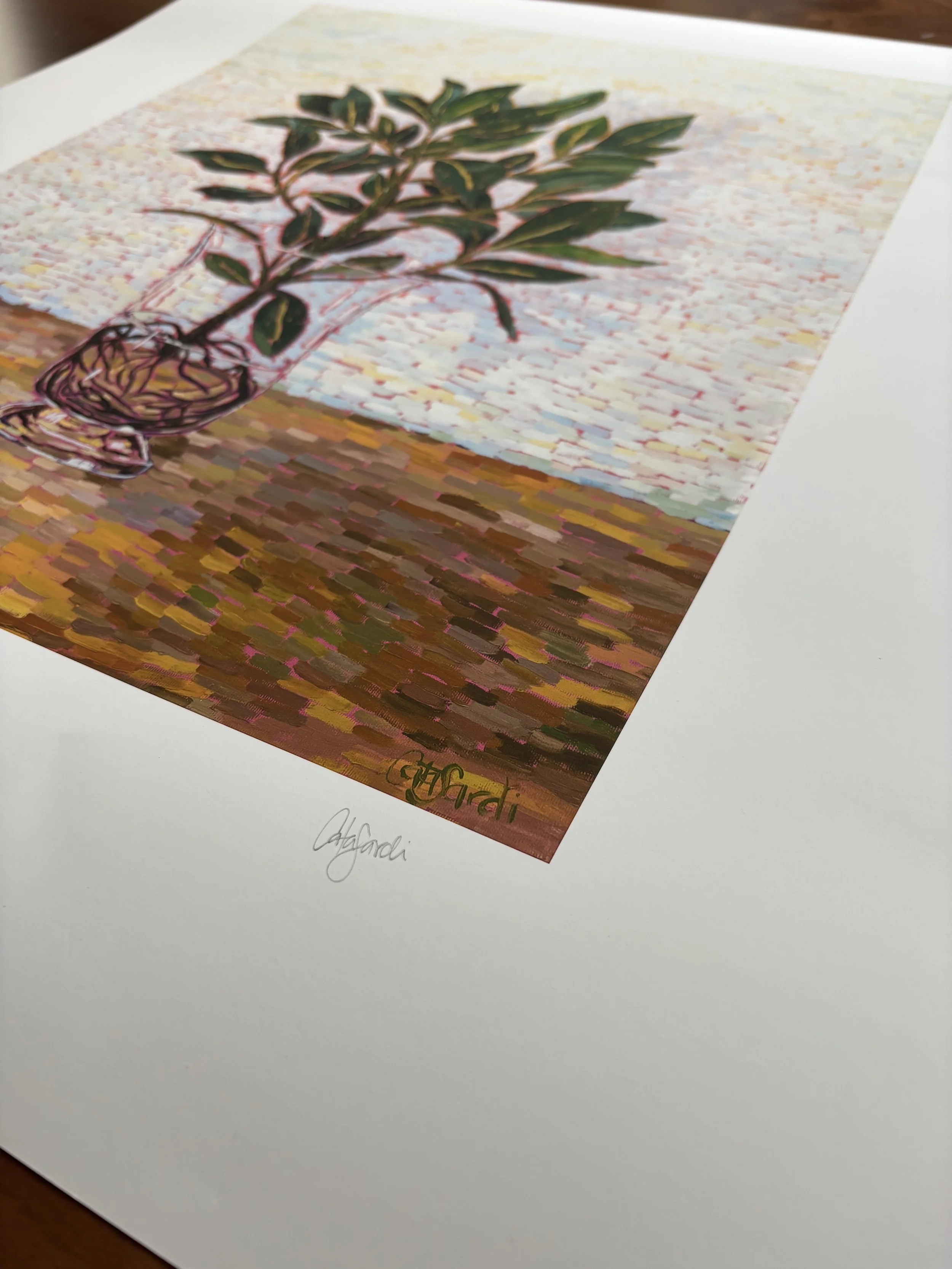 Catalina_Sardi_Limited_Edition_Print_Companion_Signed.jpg