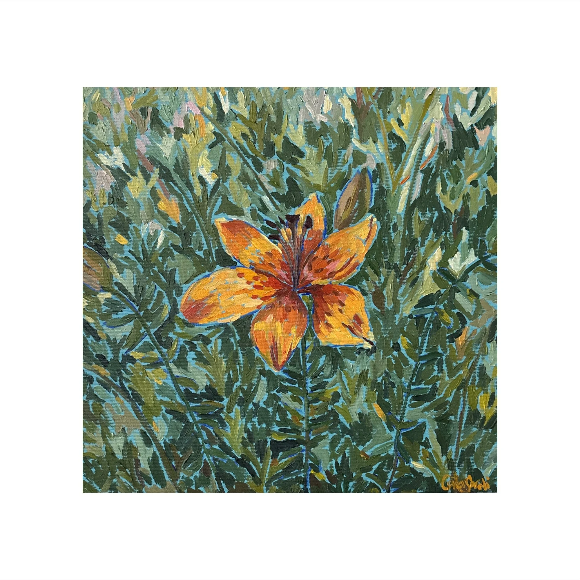 Steadfast II — Orange Lily
