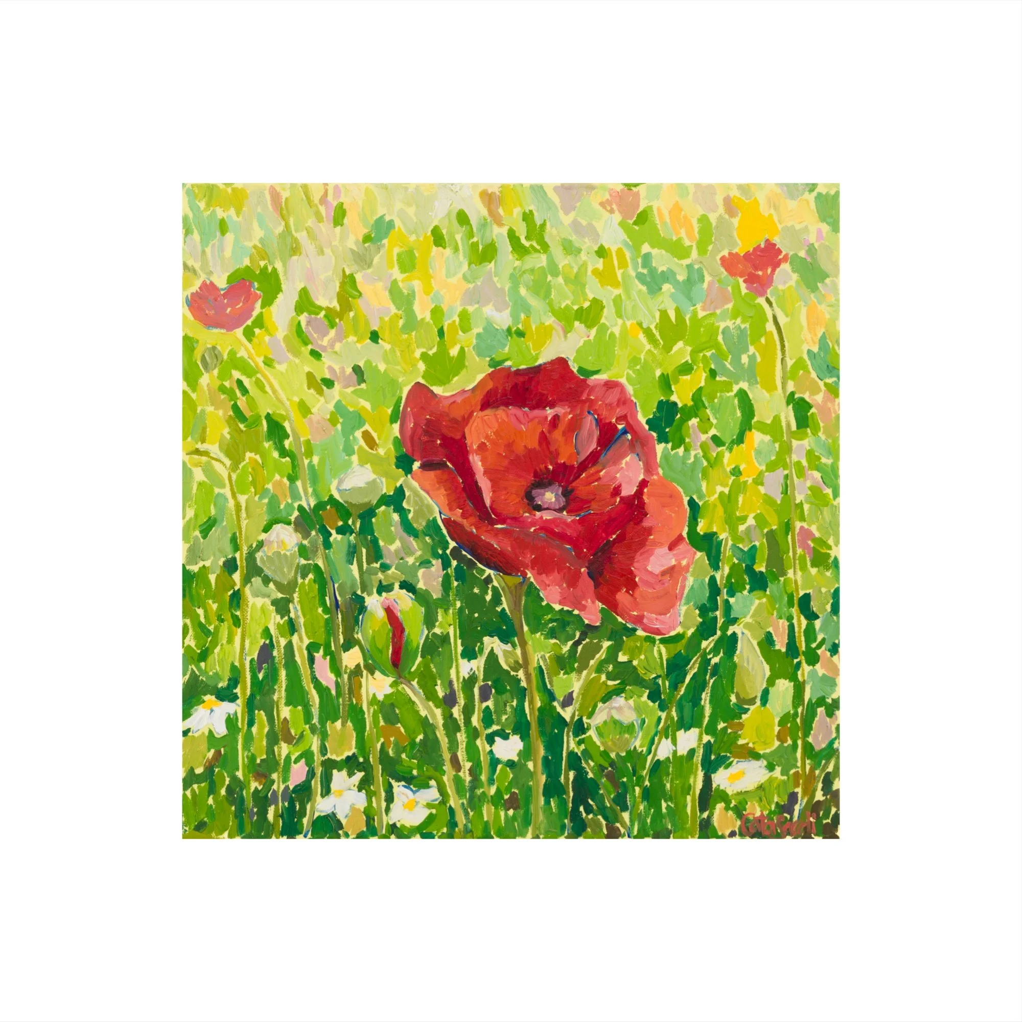 Catalina_Sardi_Art_Steadfast_Poppy_Fl.JPG