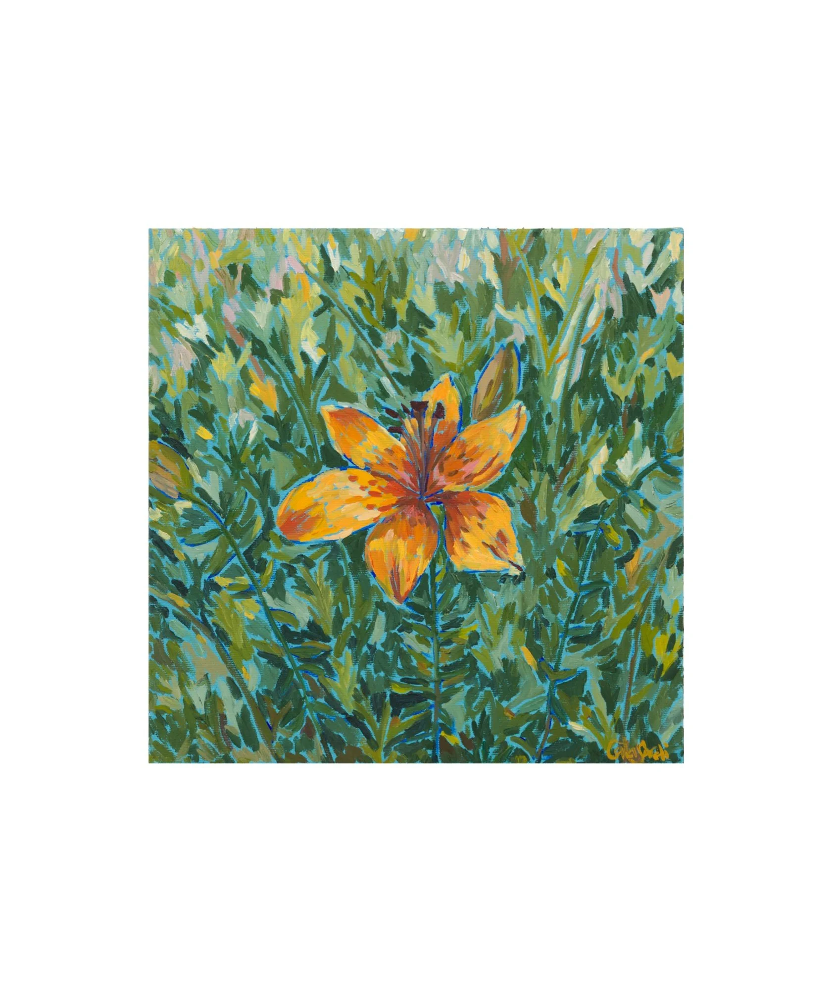 Catalina_Sardi_Art_Steadfast_Lily_Fl.JPG
