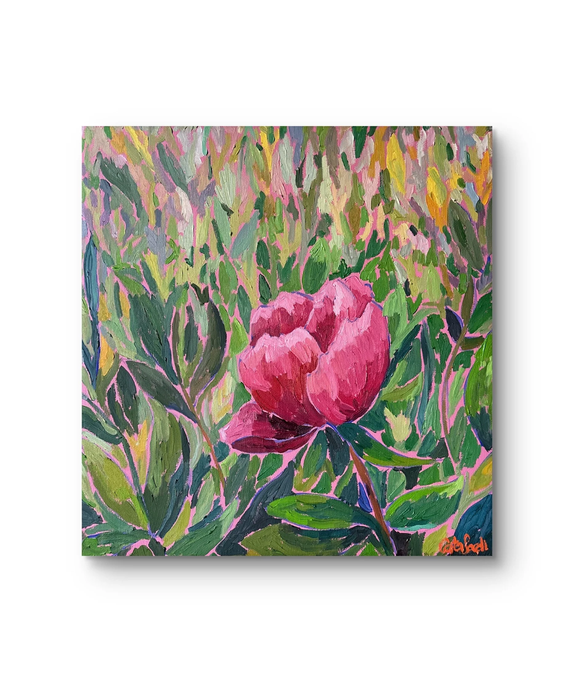 Oil painting of a peony flower representing tenderness, self-worth, and emotional openness. Surrounded by a soft rose-toned background of compassion and warmth.