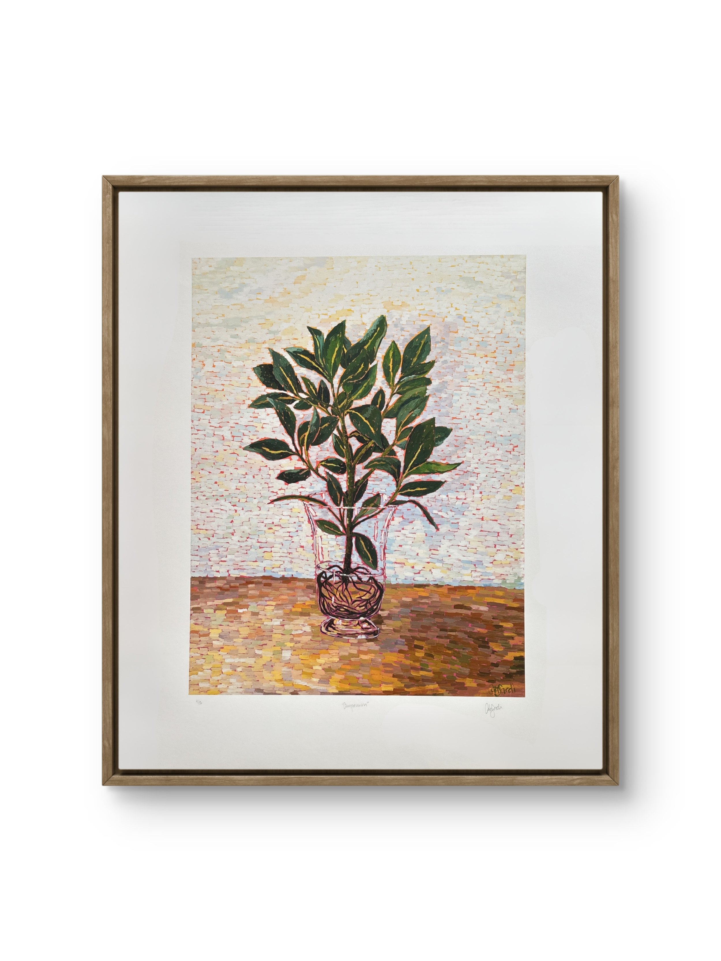 Catalina_Sardi_Limited_Edition_Print_Companion_Fr.JPG