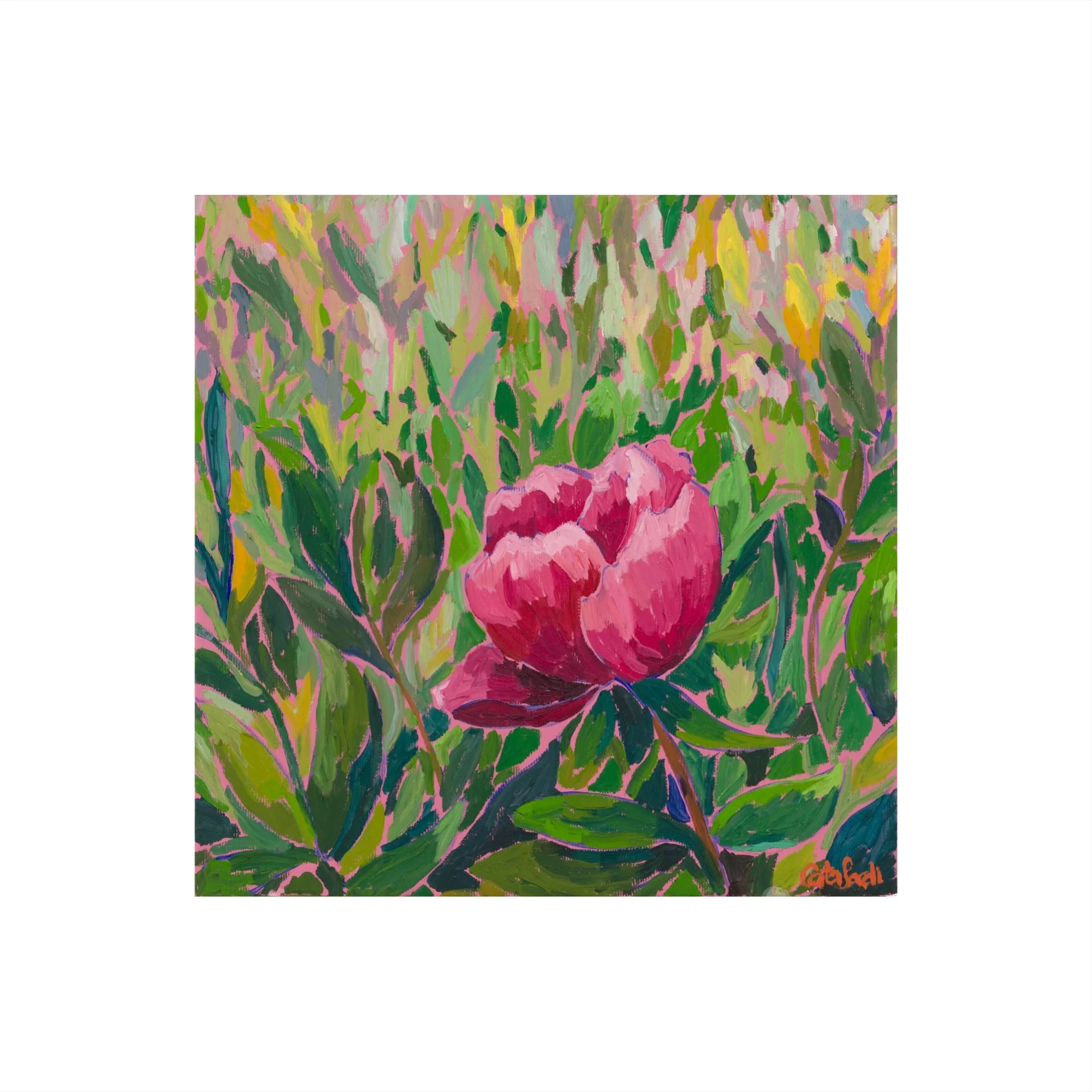 Catalina_Sardi_Art_Steadfast_Peony_Fl.JPG