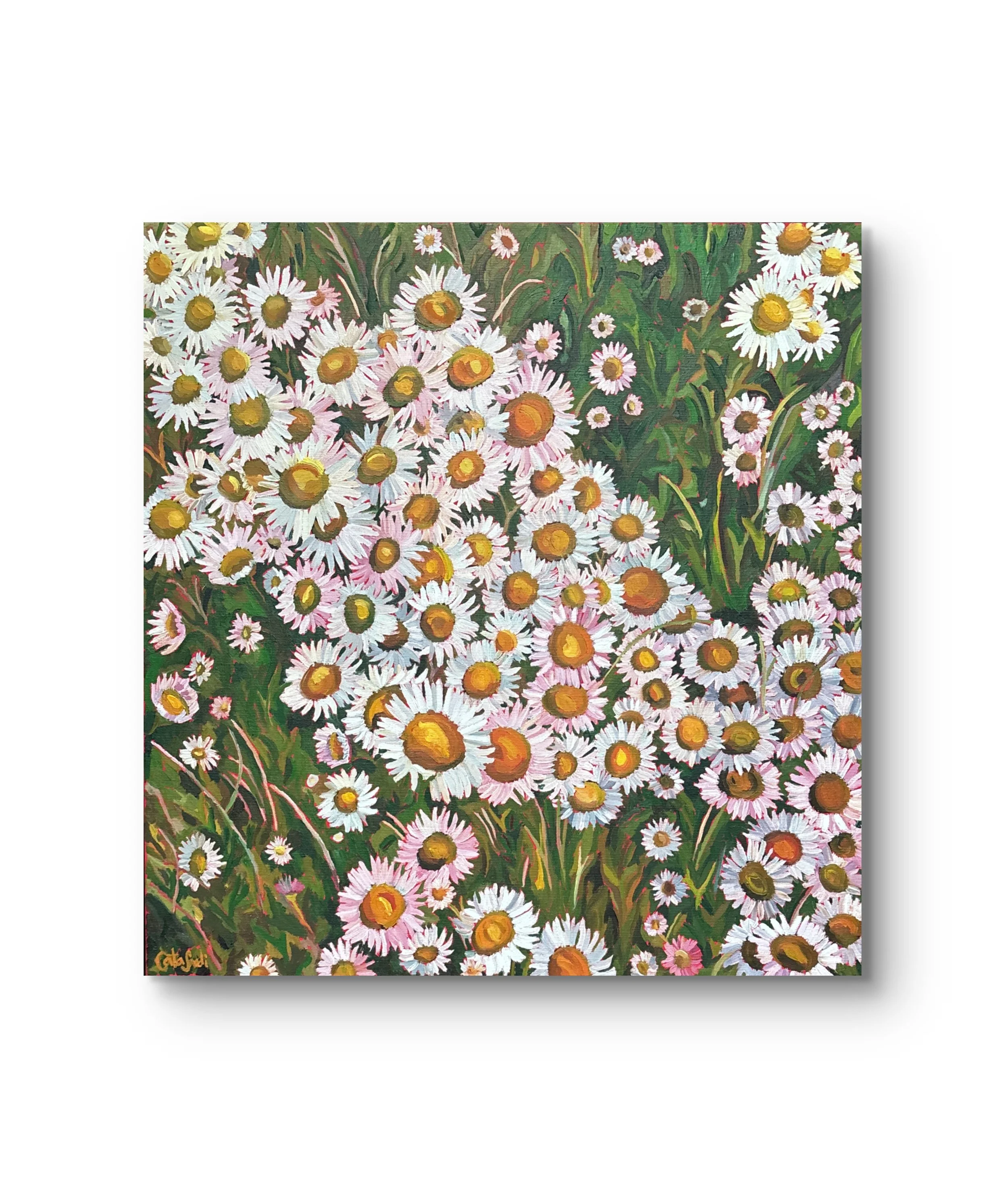 Painting of a dense cluster of white and pink daisies with yellow centers surrounded by green foliage.