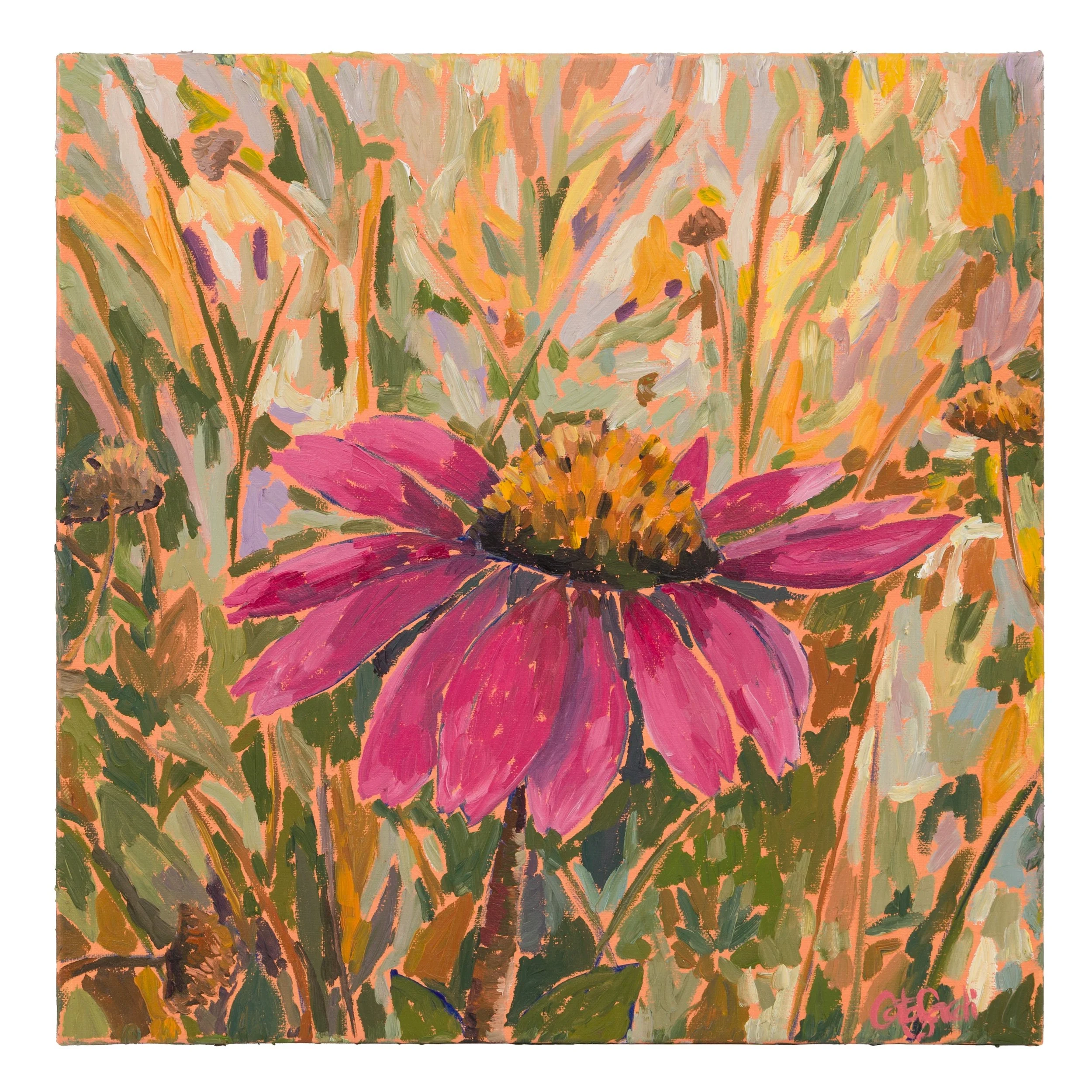 Steadfast I — Echinacea
