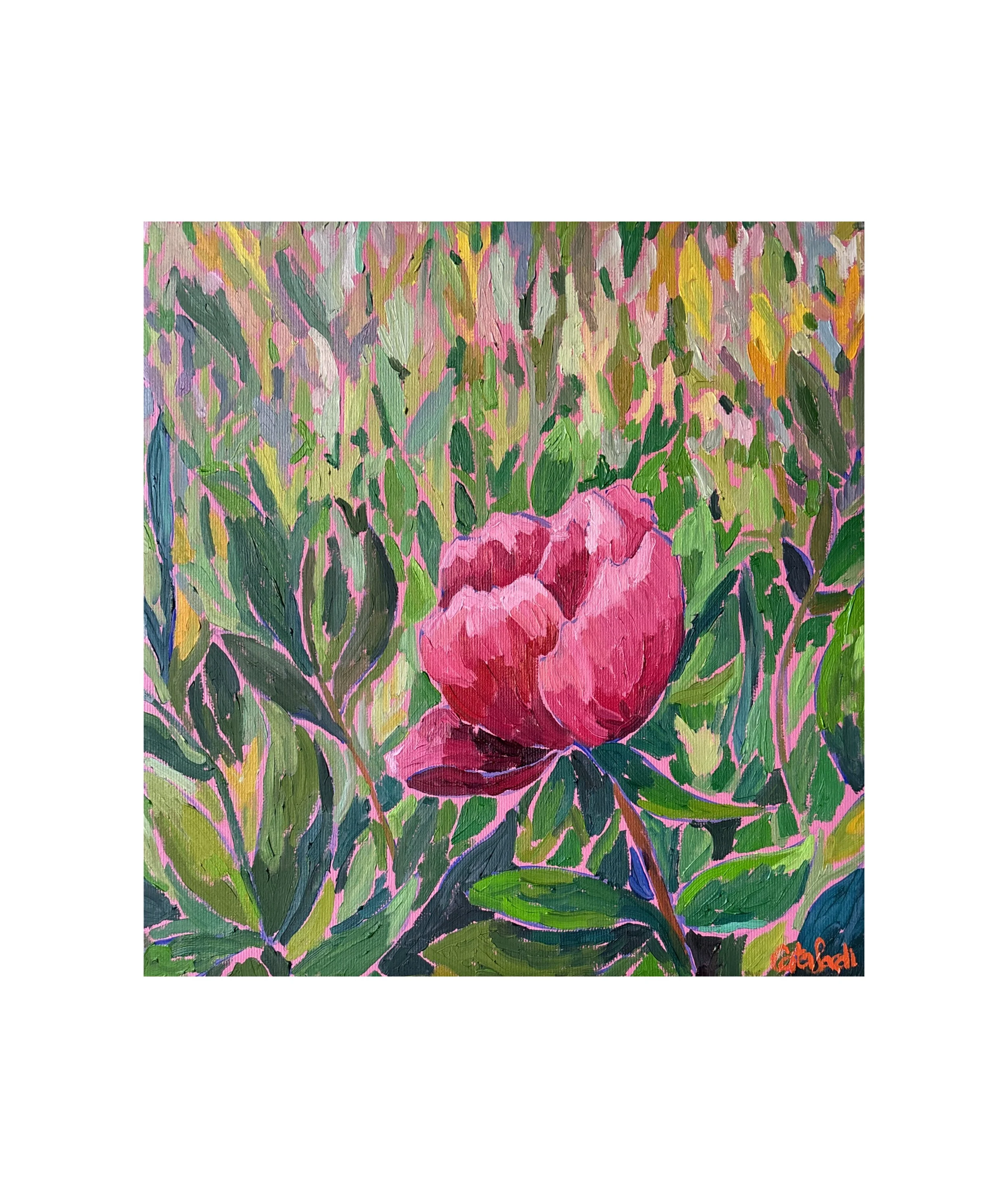 Steadfast IV — Peony Flower