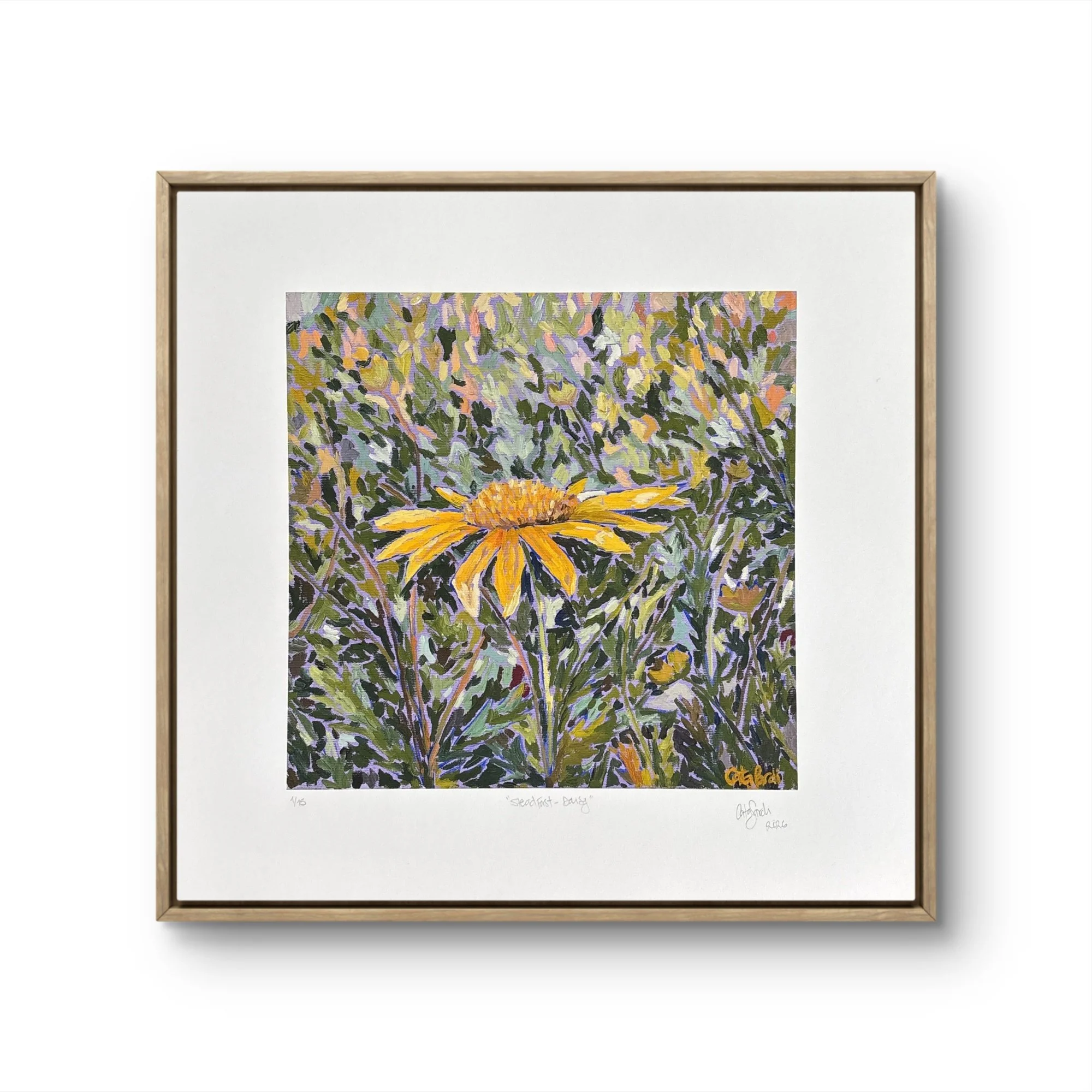 Catalina_Sardi_Limited_Edition_Print_Steadfast_Daisy_Fr.JPG