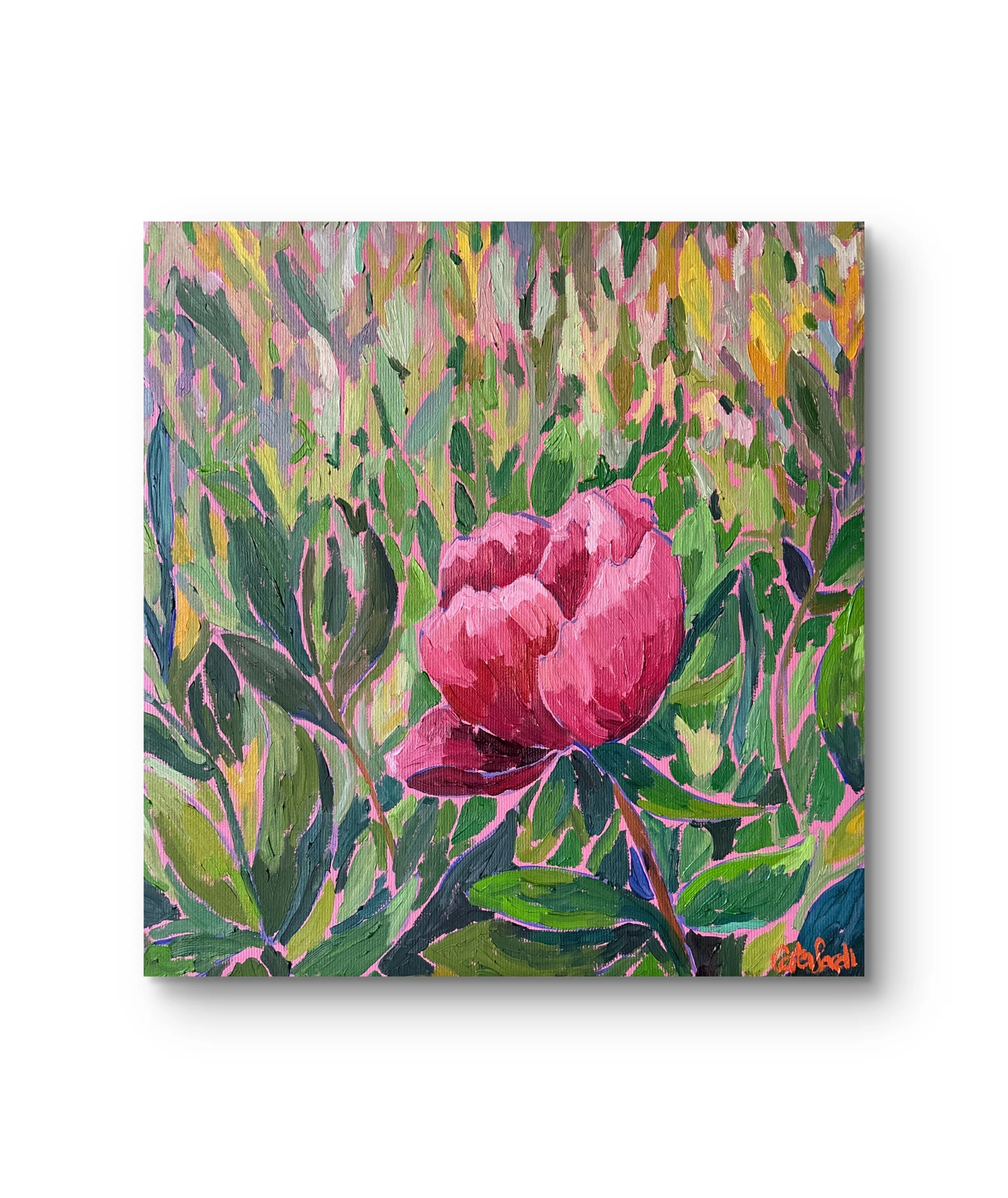 Steadfast - Peony Flower