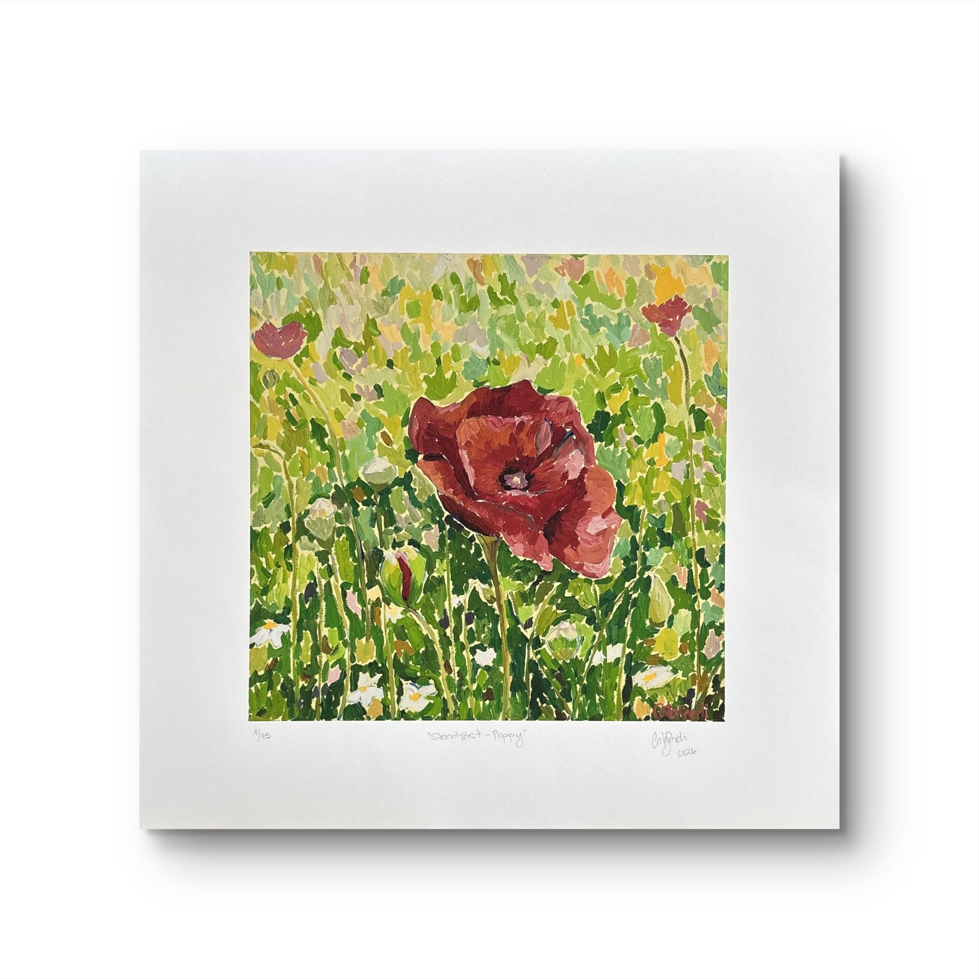Catalina_Sardi_Limited_Edition_Print_Steadfast_Poppy_S.JPG