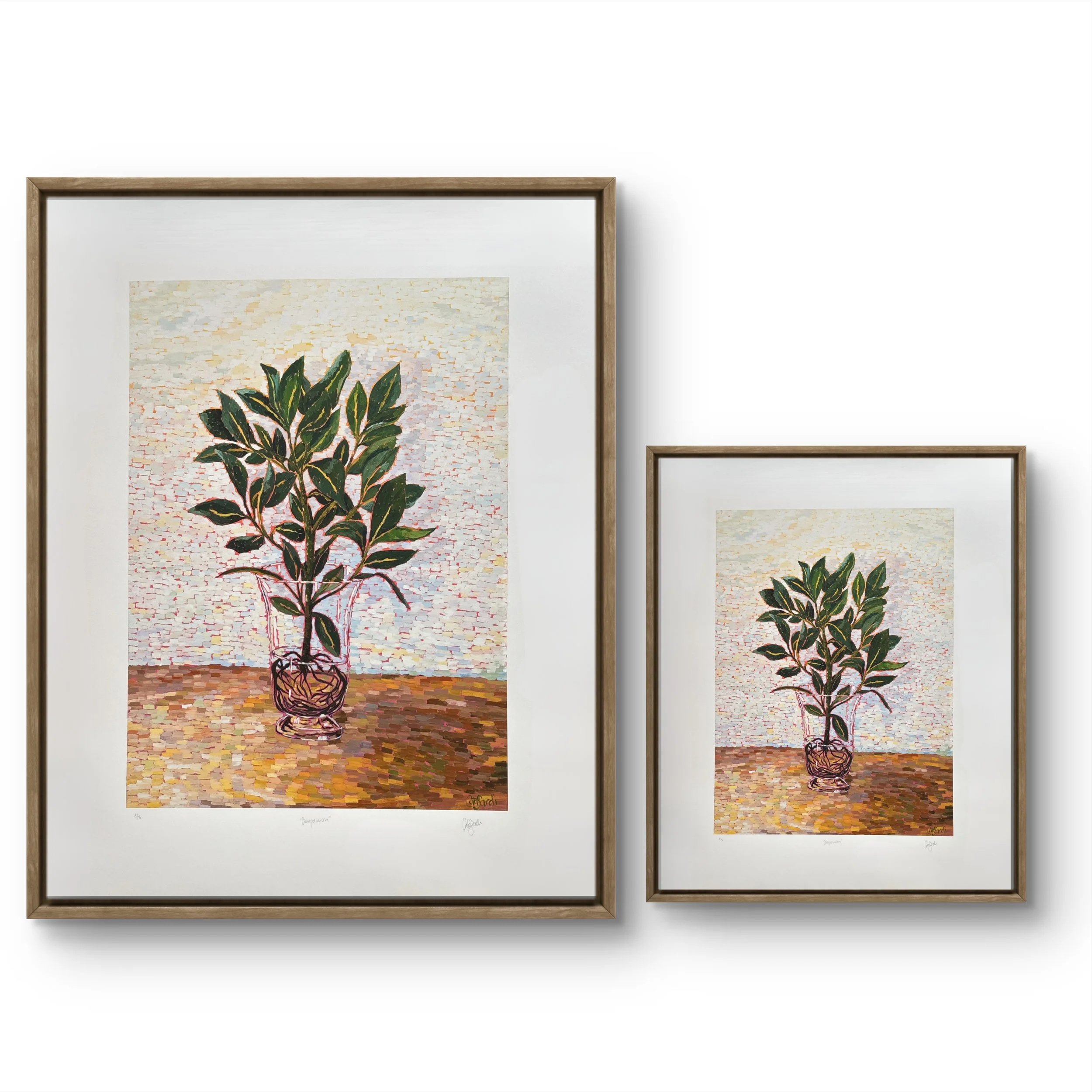Catalina_Sardi_Limited_Edition_Print_Companion_both_Sizes.JPG