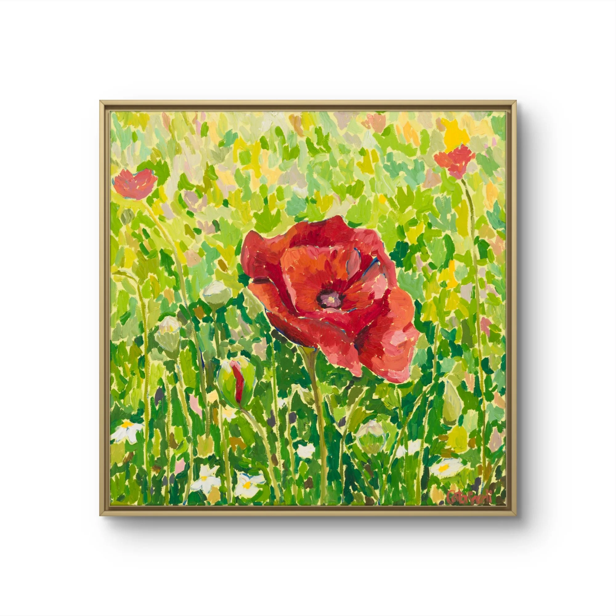 Catalina_Sardi_Art_Steadfast_Poppy_Fr.JPG