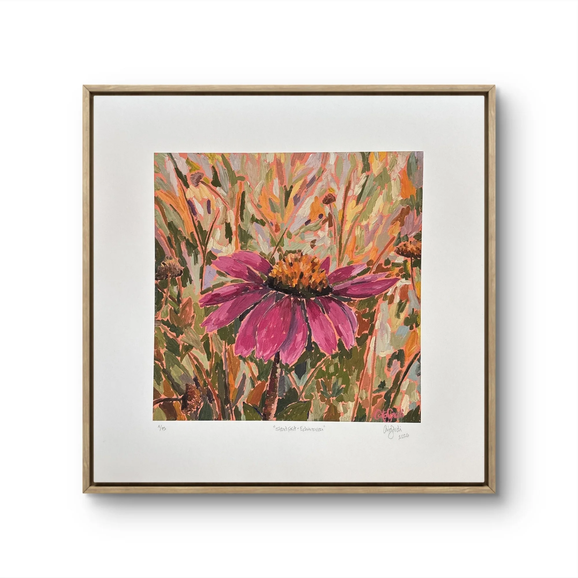 Catalina_Sardi_Limited_Edition_Print_Steadfast_Echinacea_Fr.JPG