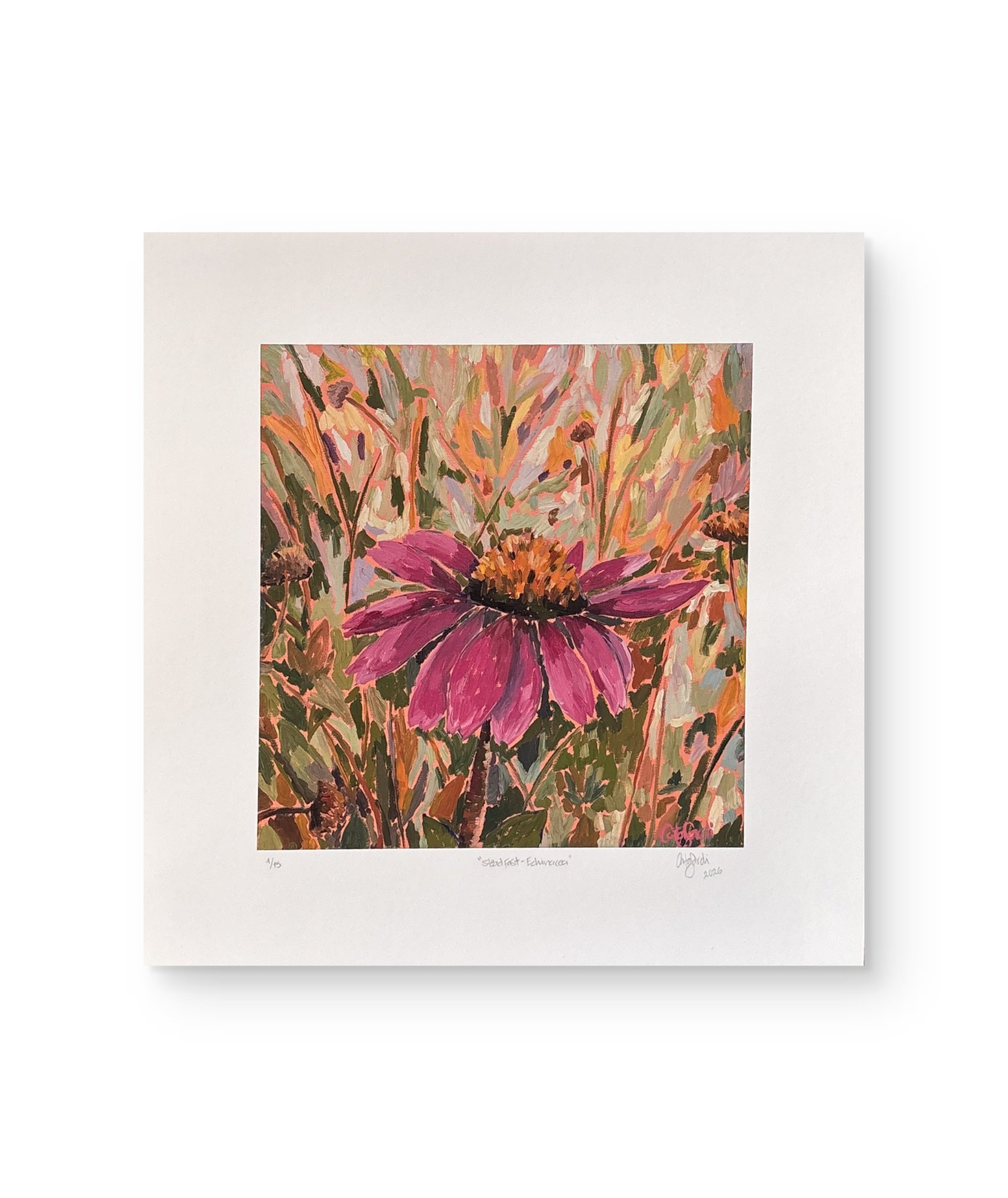 Steadfast  I - Echinacea