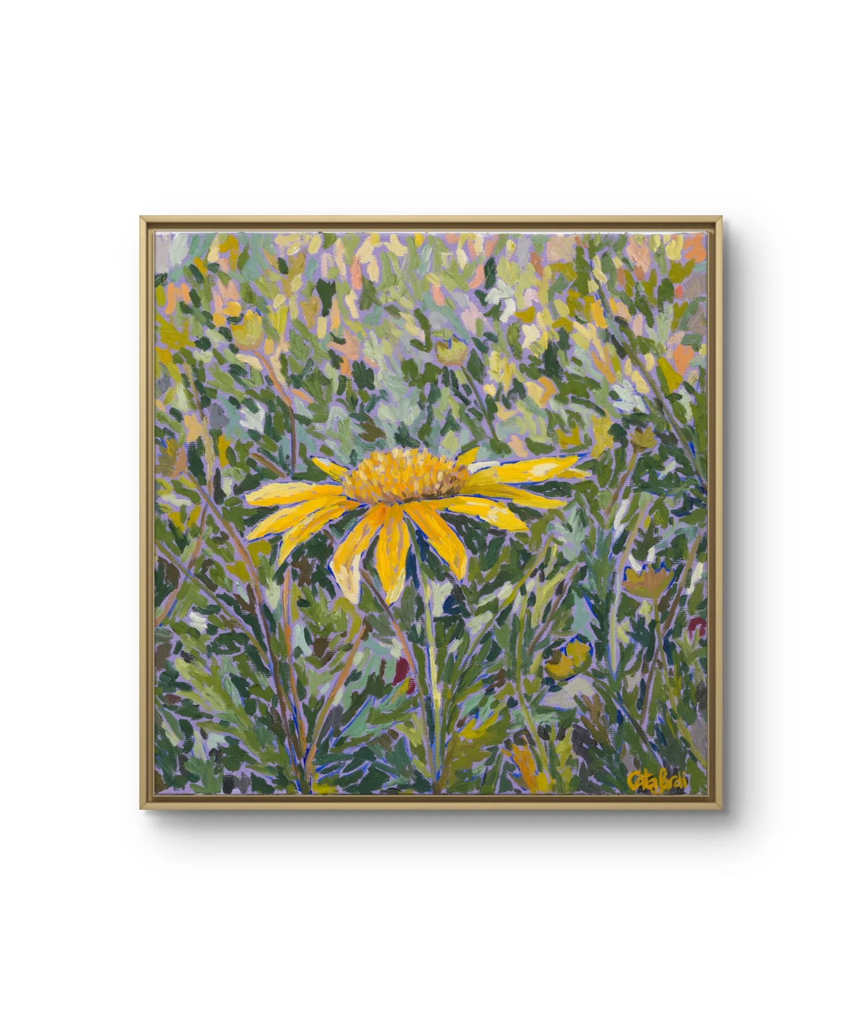 Catalina_Sardi_Art_Steadfast_Daisy_Fr.JPG